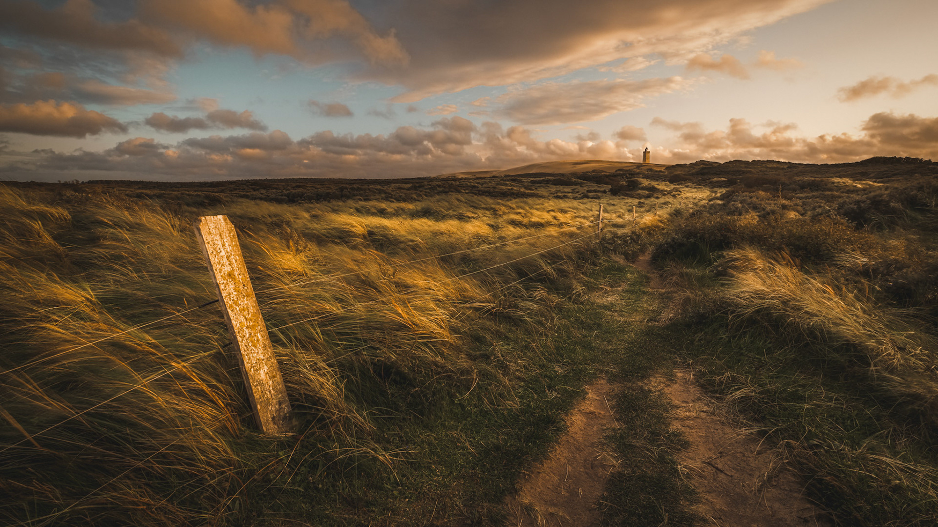 Lighthouse Rubjerg Knude at sunset