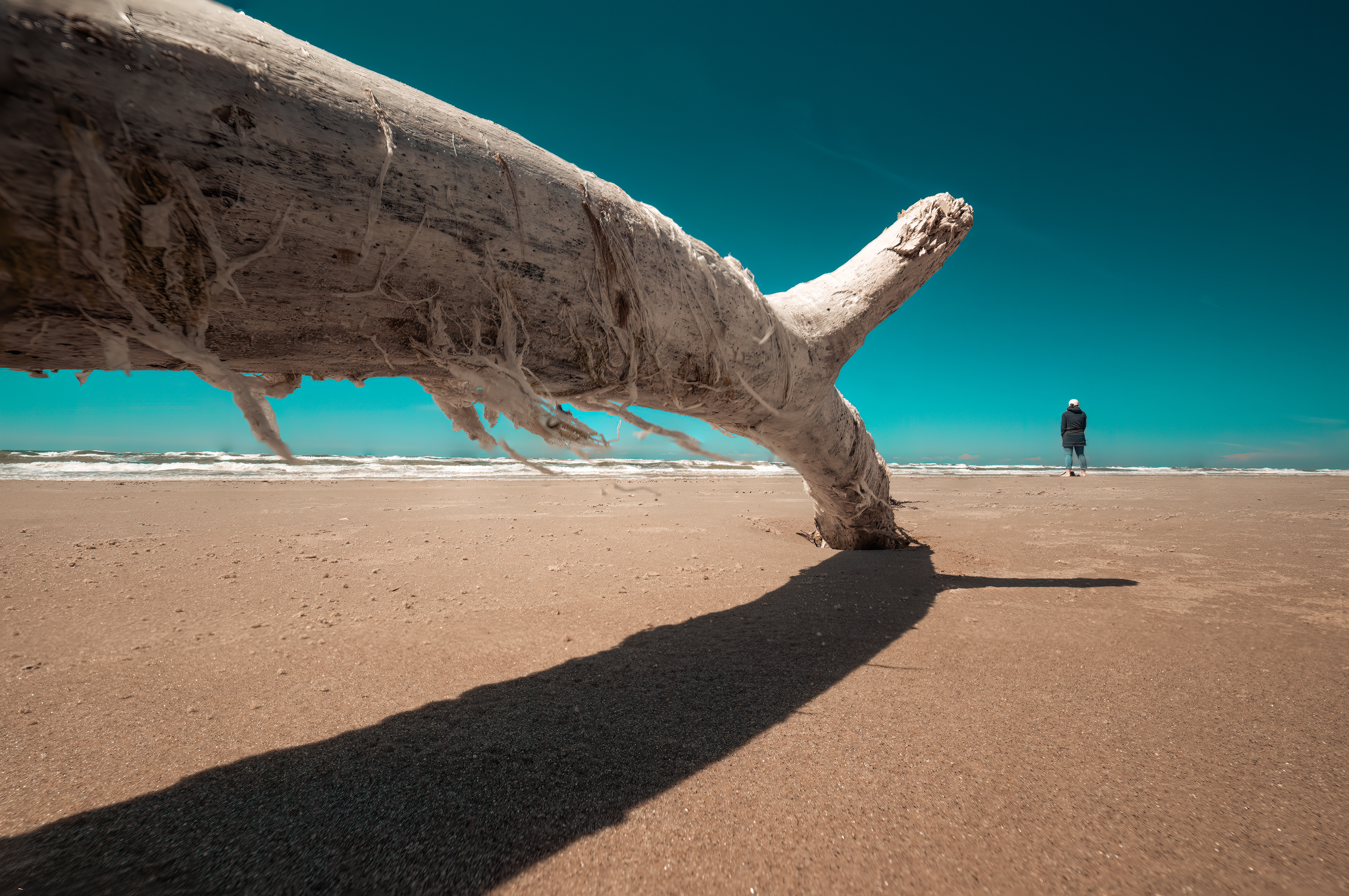 Lady by the sea