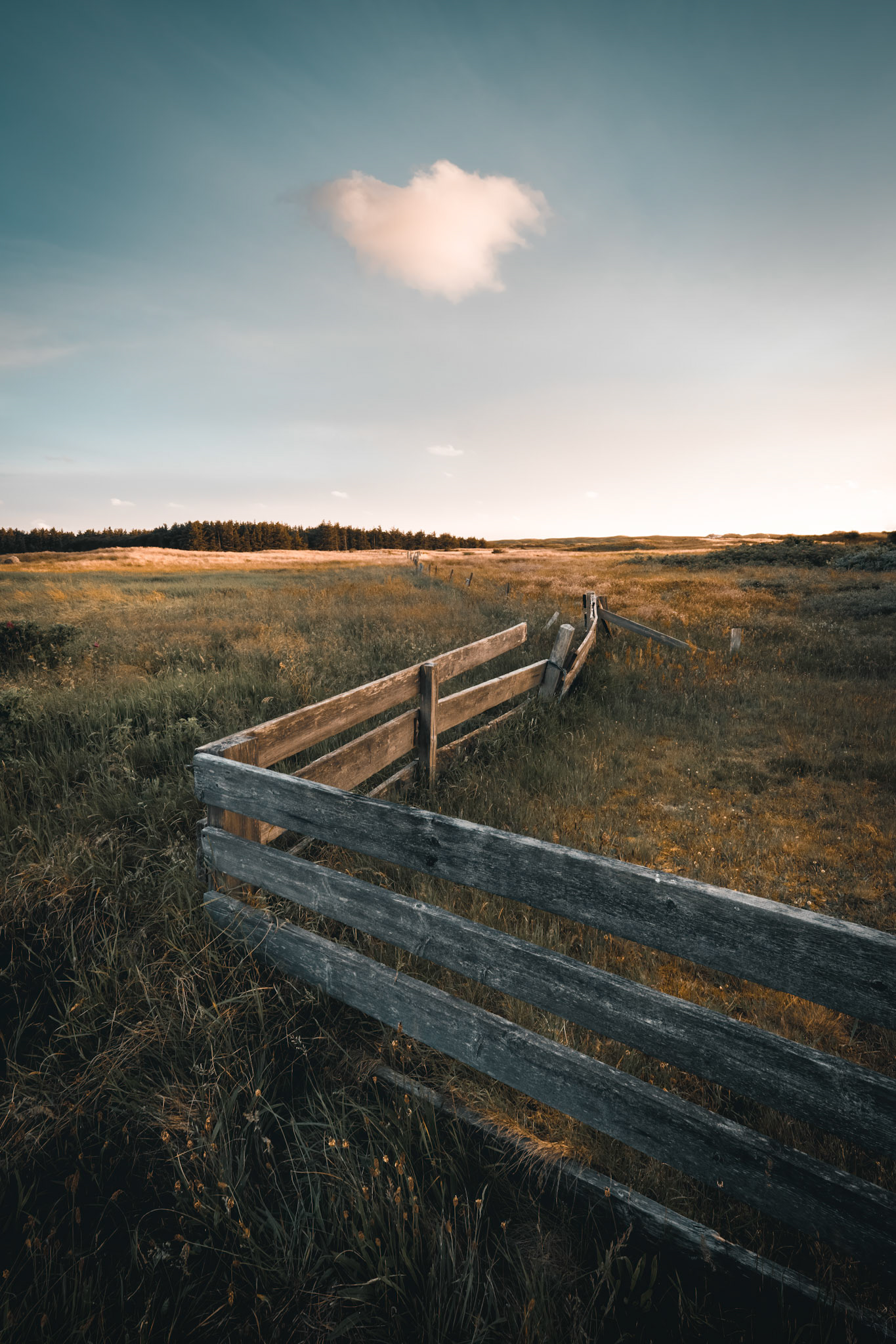The fence