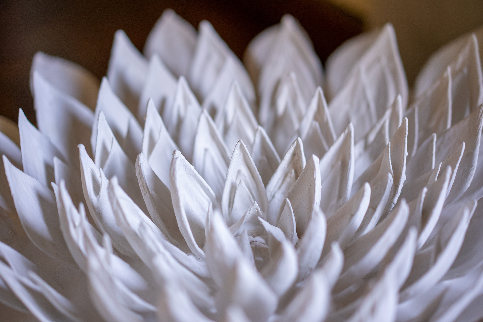Petals Closup, before sanding