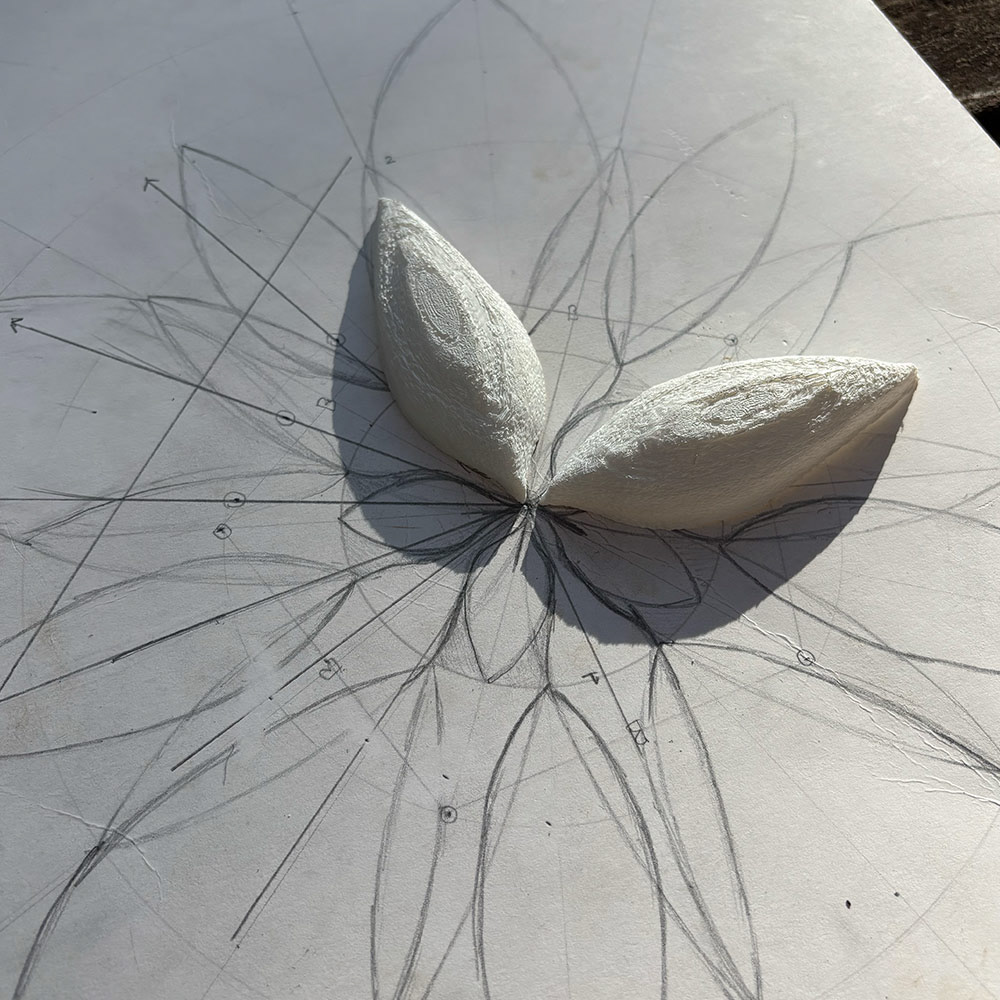 Prototype before gypsum