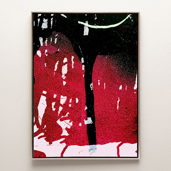 Impetuous 02 RedD