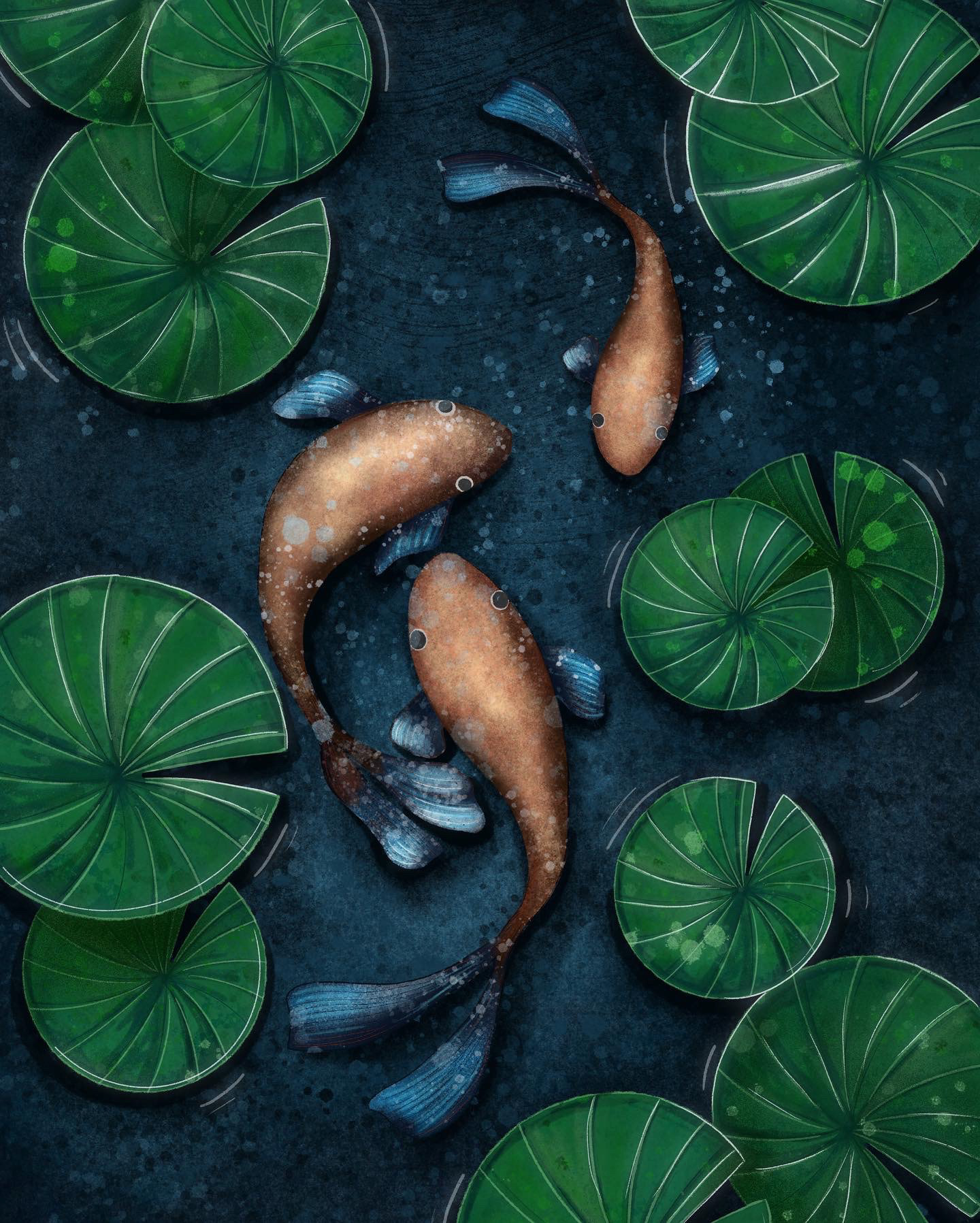 Koi fisk i dammen