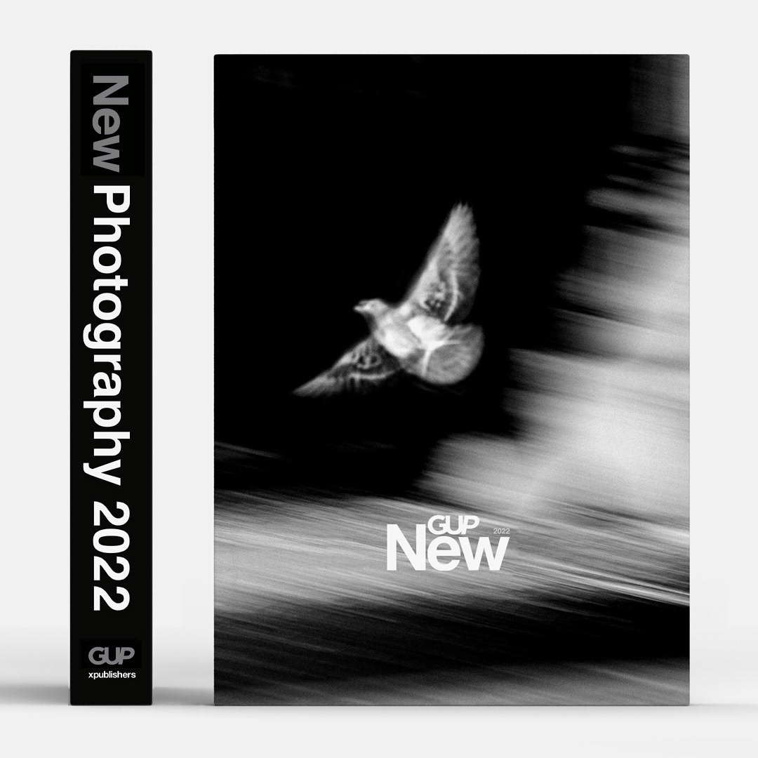 Bird in Flight - GUPnew Cover 2022