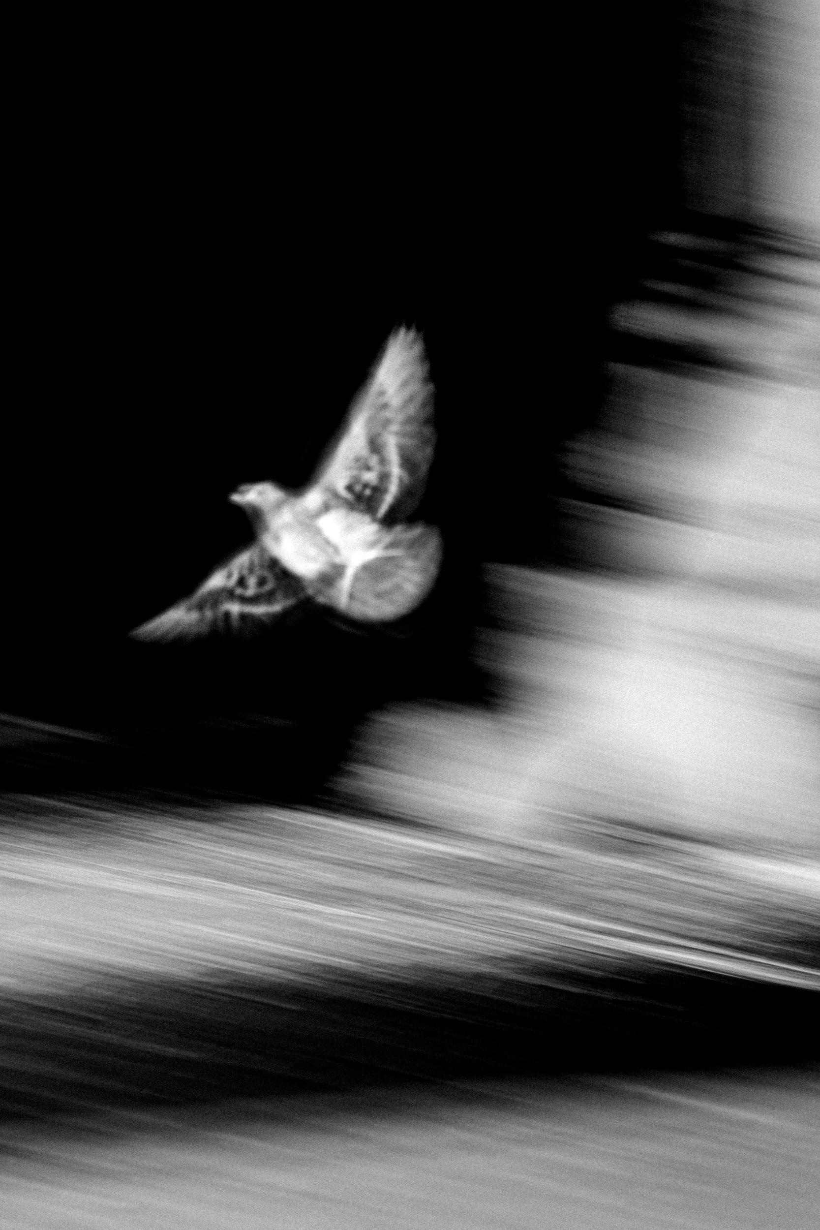 60 x 90 cm & 90 x 135 cm