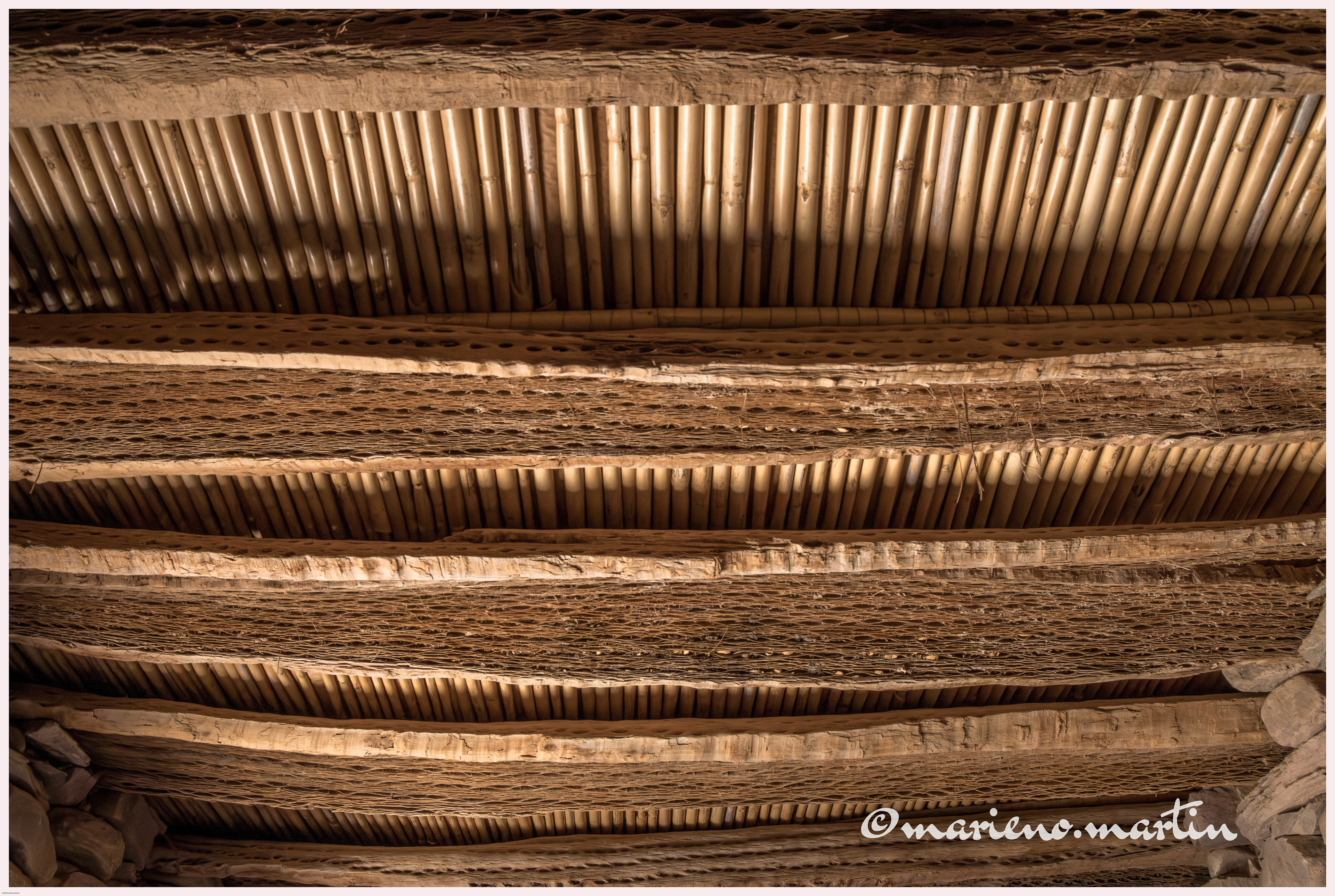 Détail archi cactus 