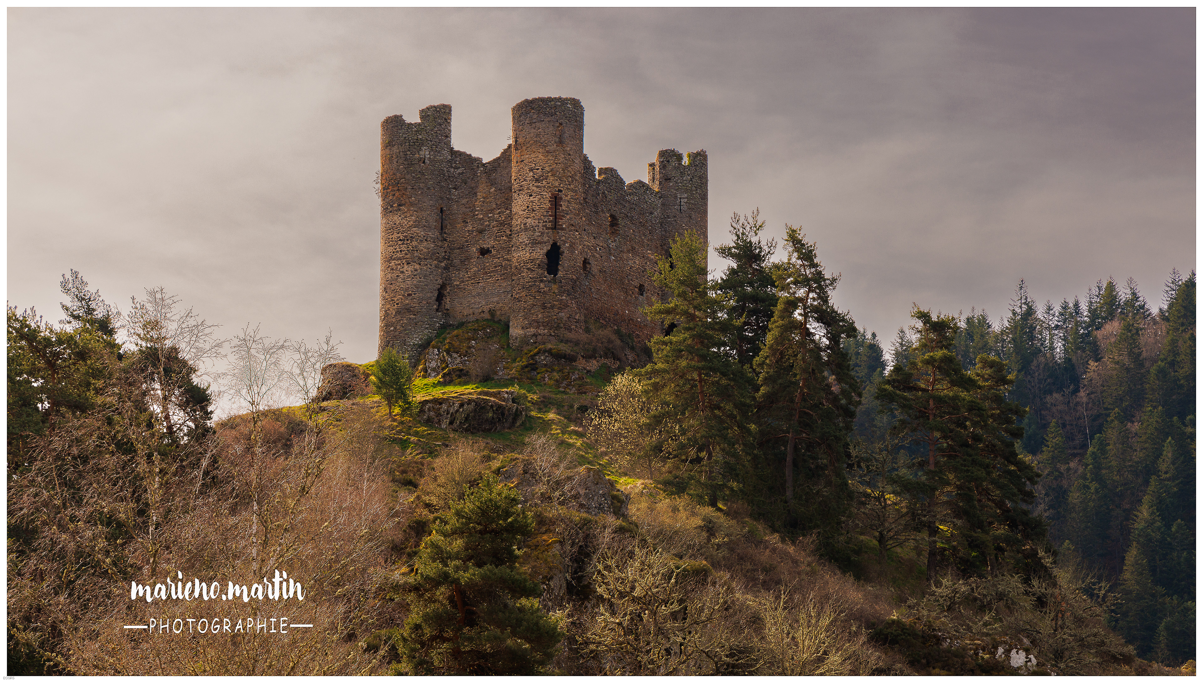 le château d'Alleuze - 15