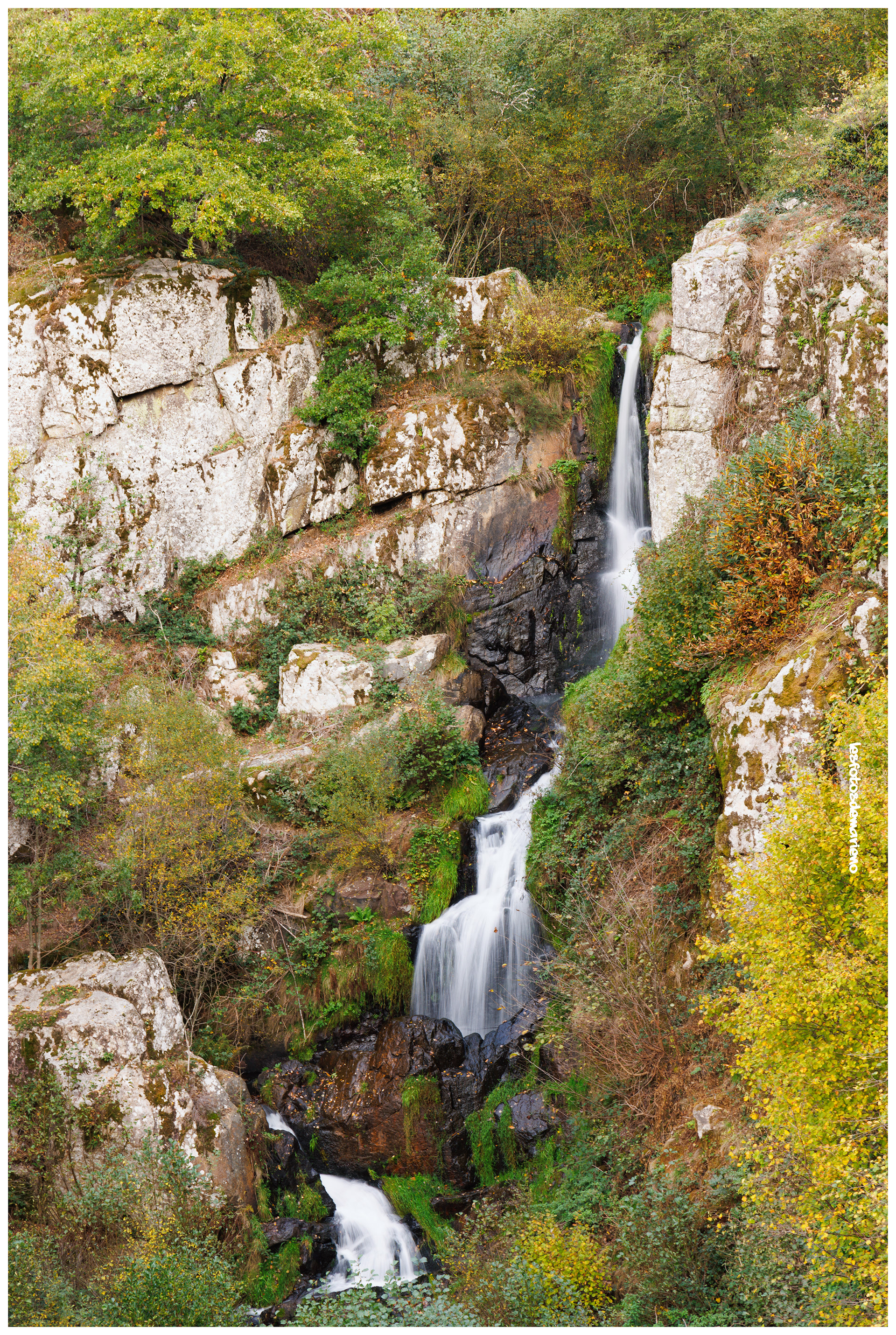 La cascade de la tête de chien