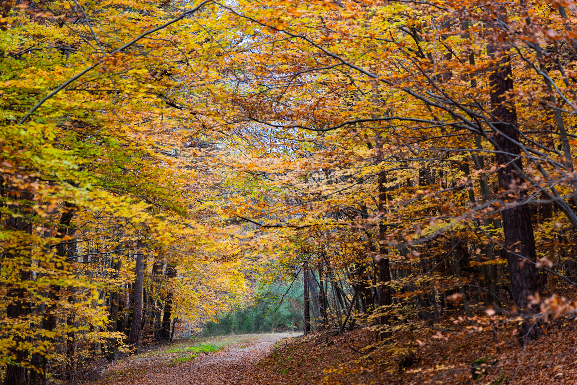 Vers le saut du Bezan