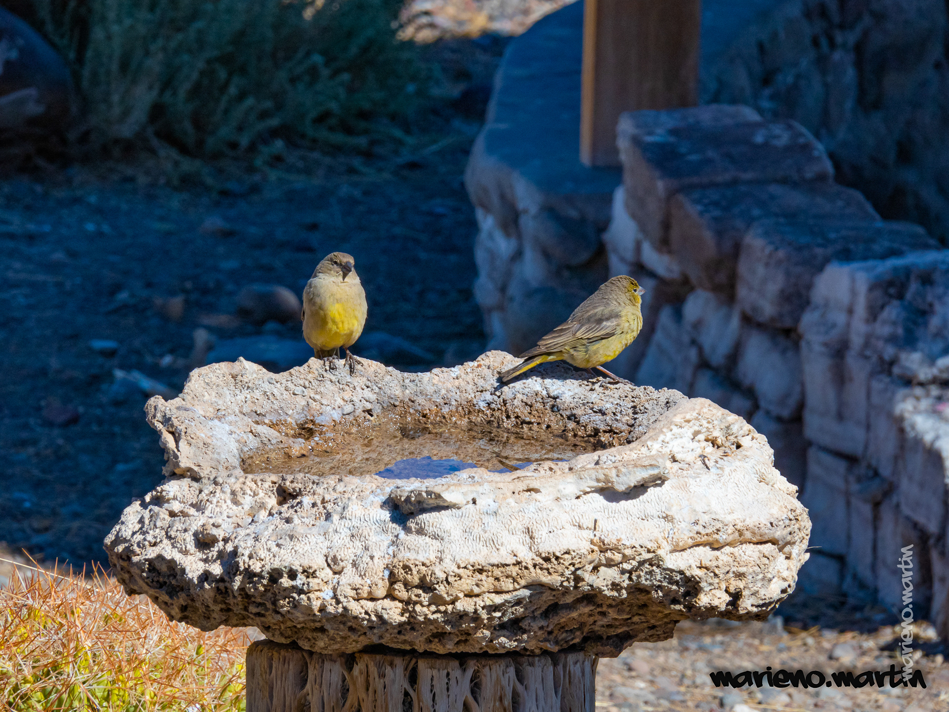 Sur l'Ile d'Incahuasie
