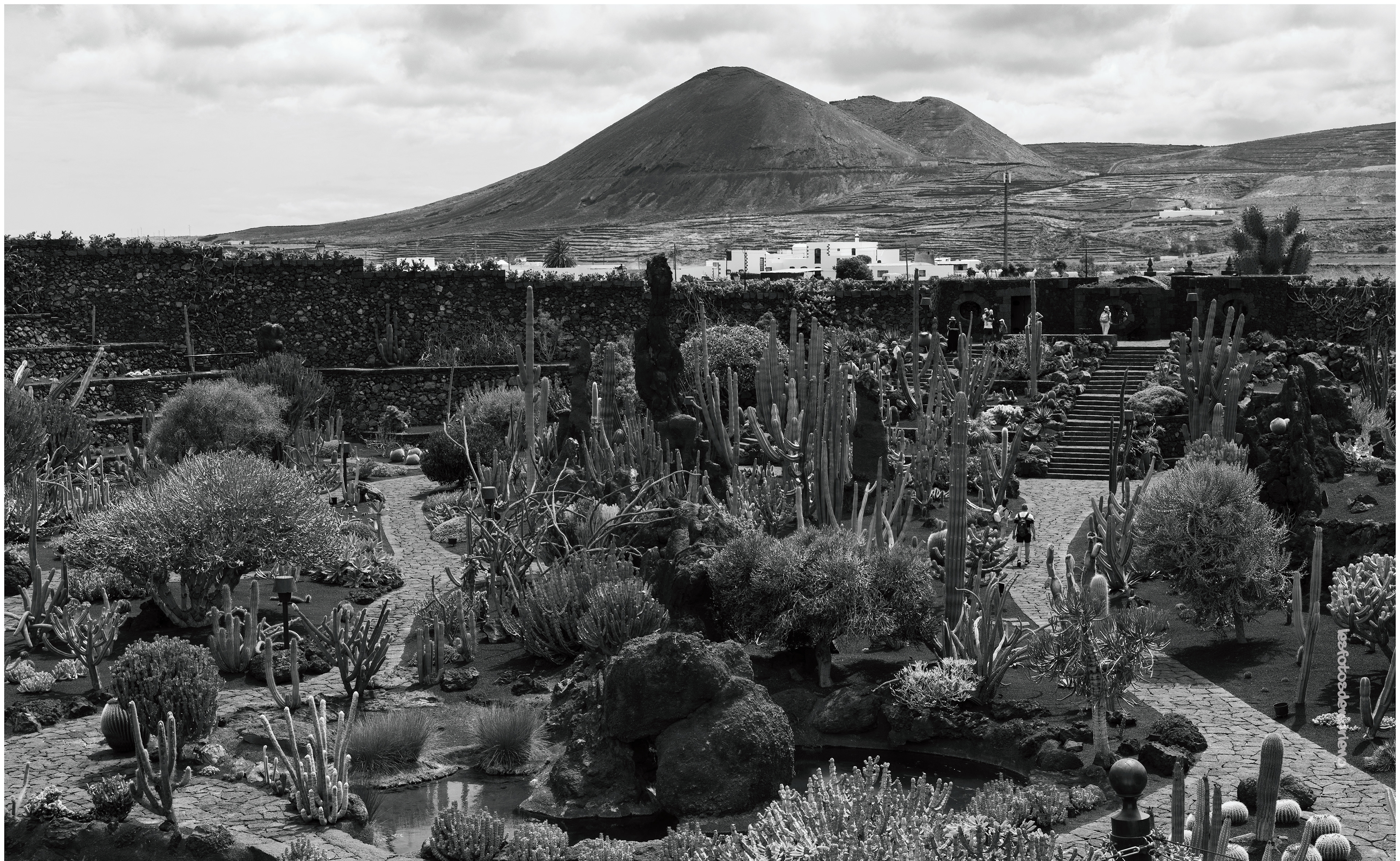 Le jardin de cactus - imaginé par César Manrique