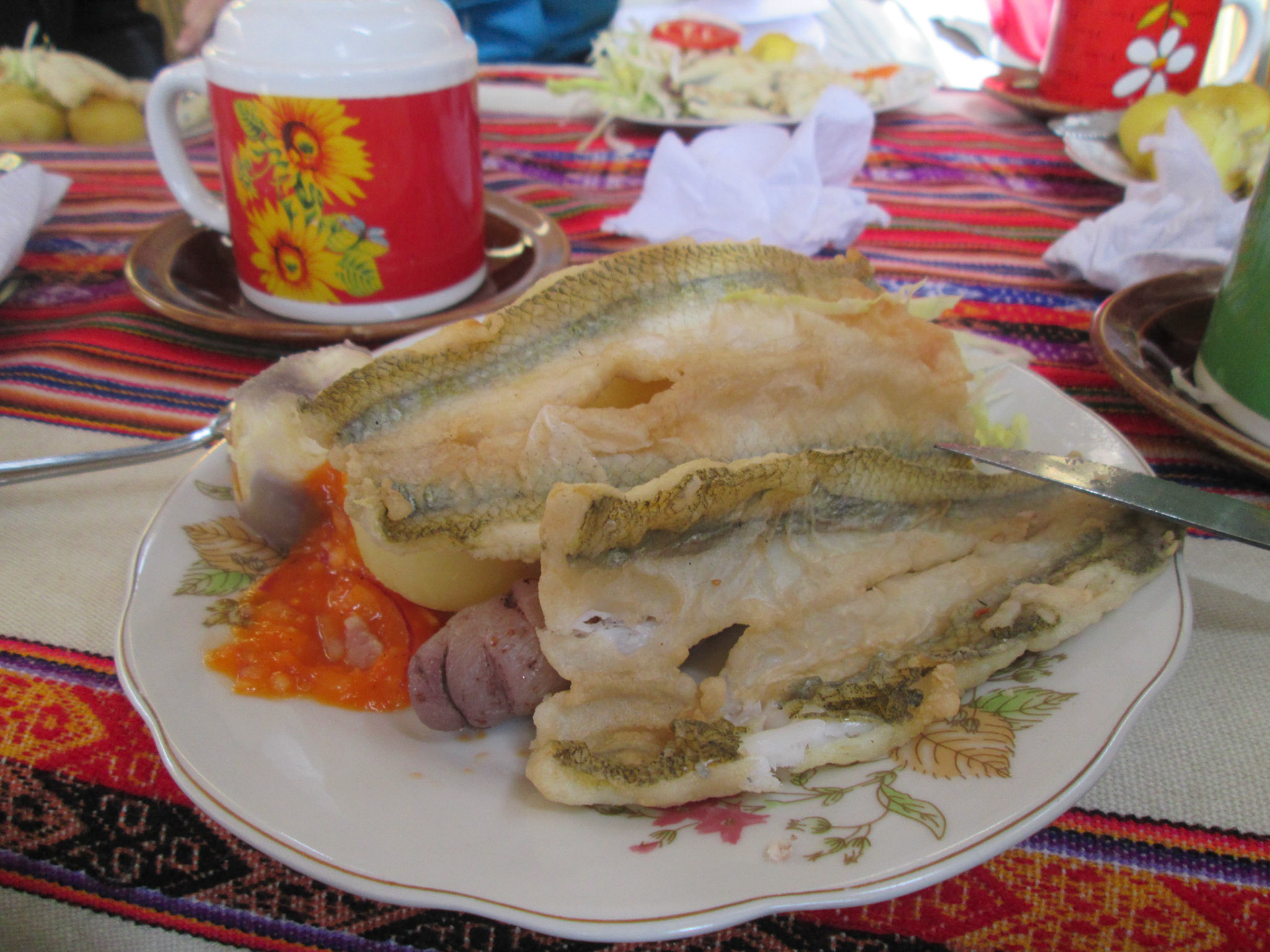 Poisson du lac Titicaca - Pérou 2016
