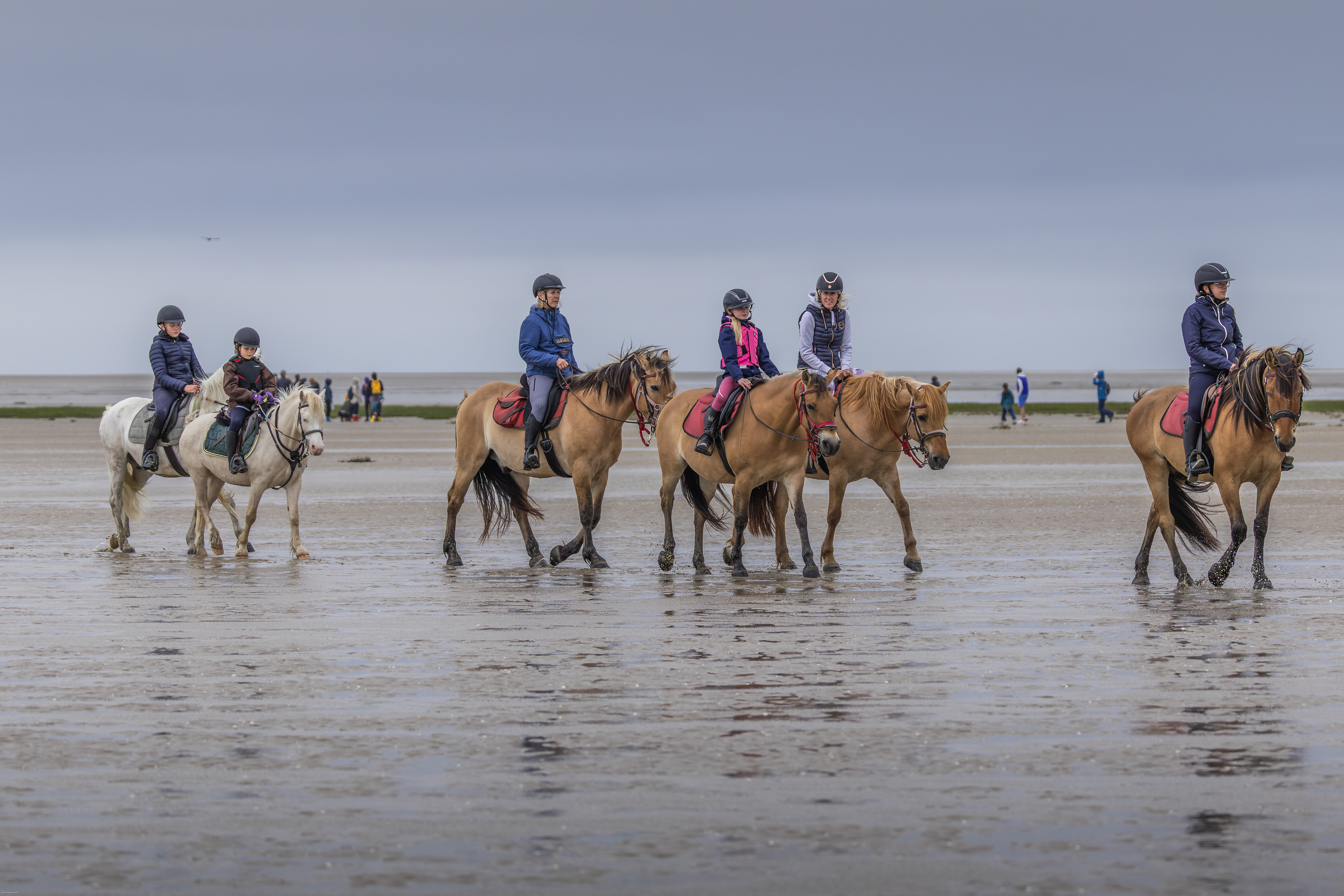 Randonnée à cheval Le crotois