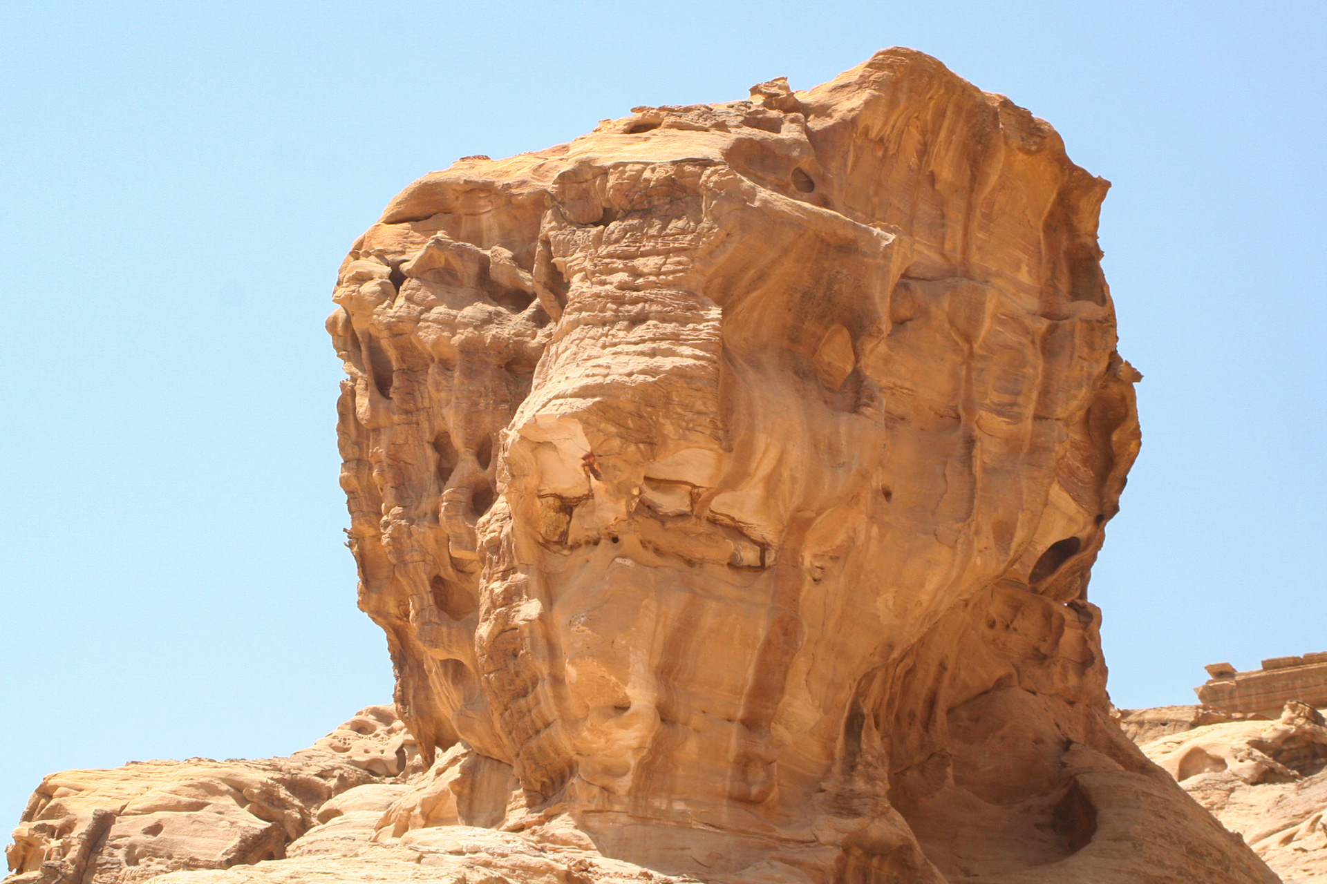 La tête de lion - Pétra - Jordanie 2009