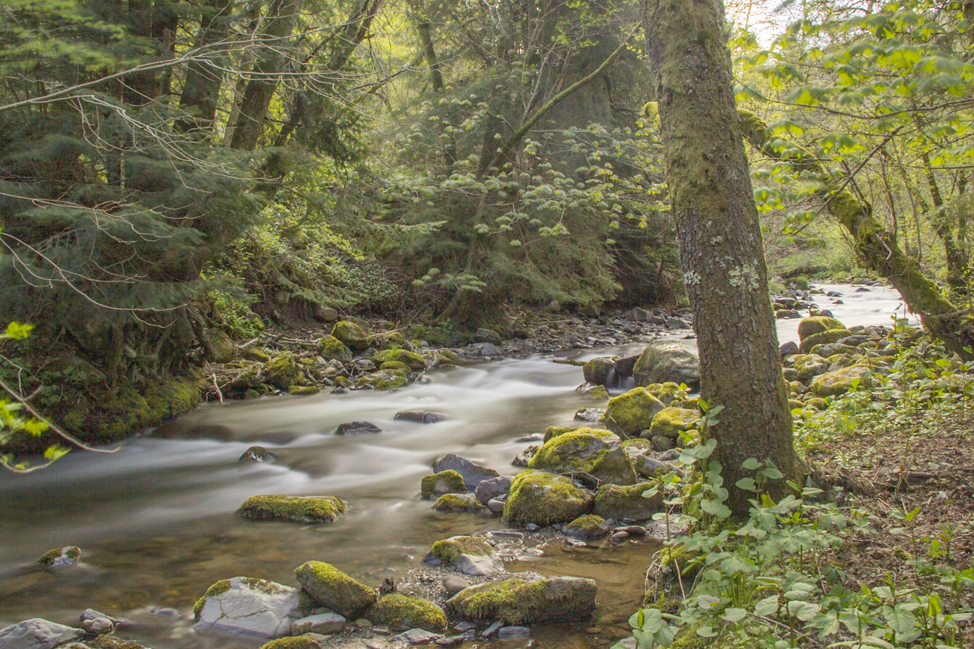 La dordogne à La Bourboule