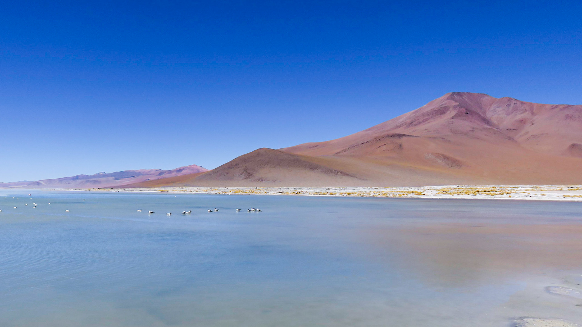 La lagune verte - Bolivie 2019