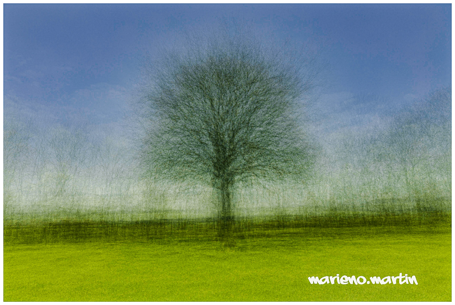 L'arbre effet Mulhloff