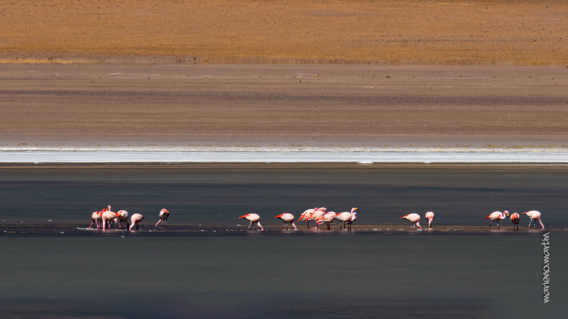 la lagune rose