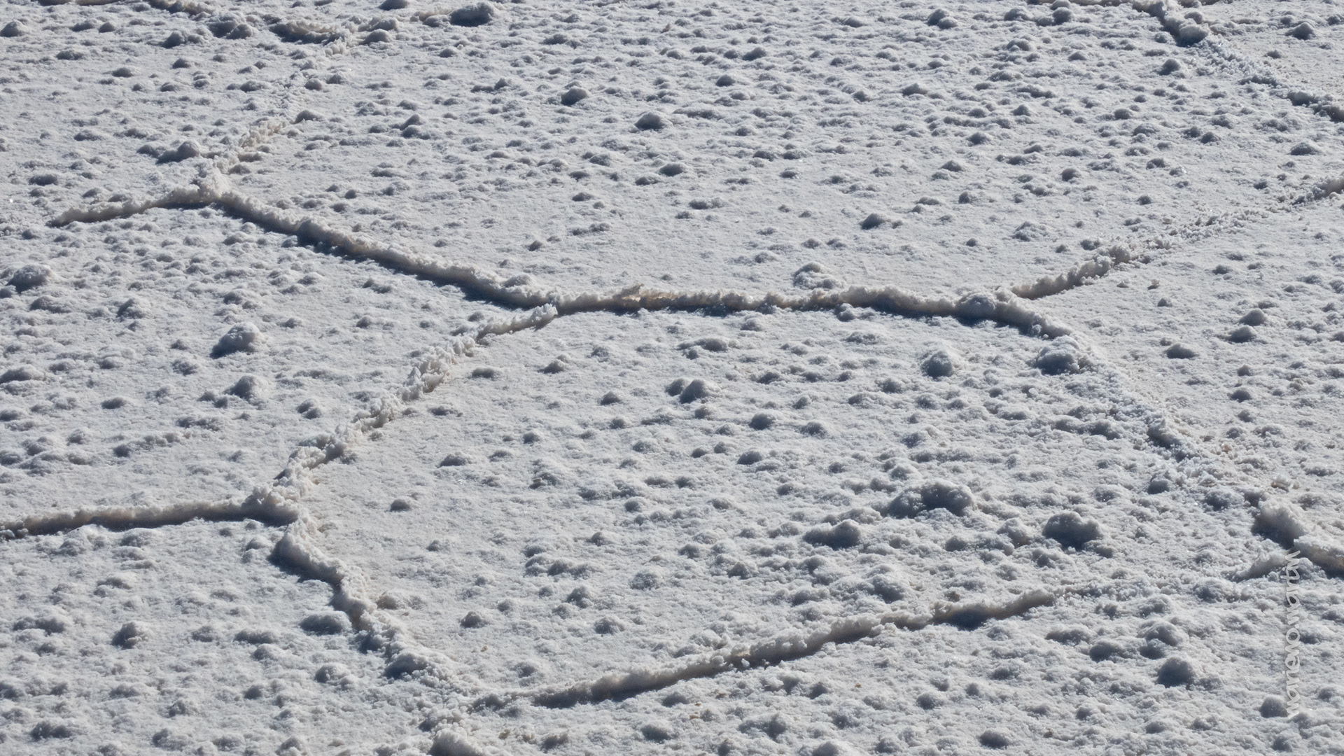 Les formes géométriques du Salar