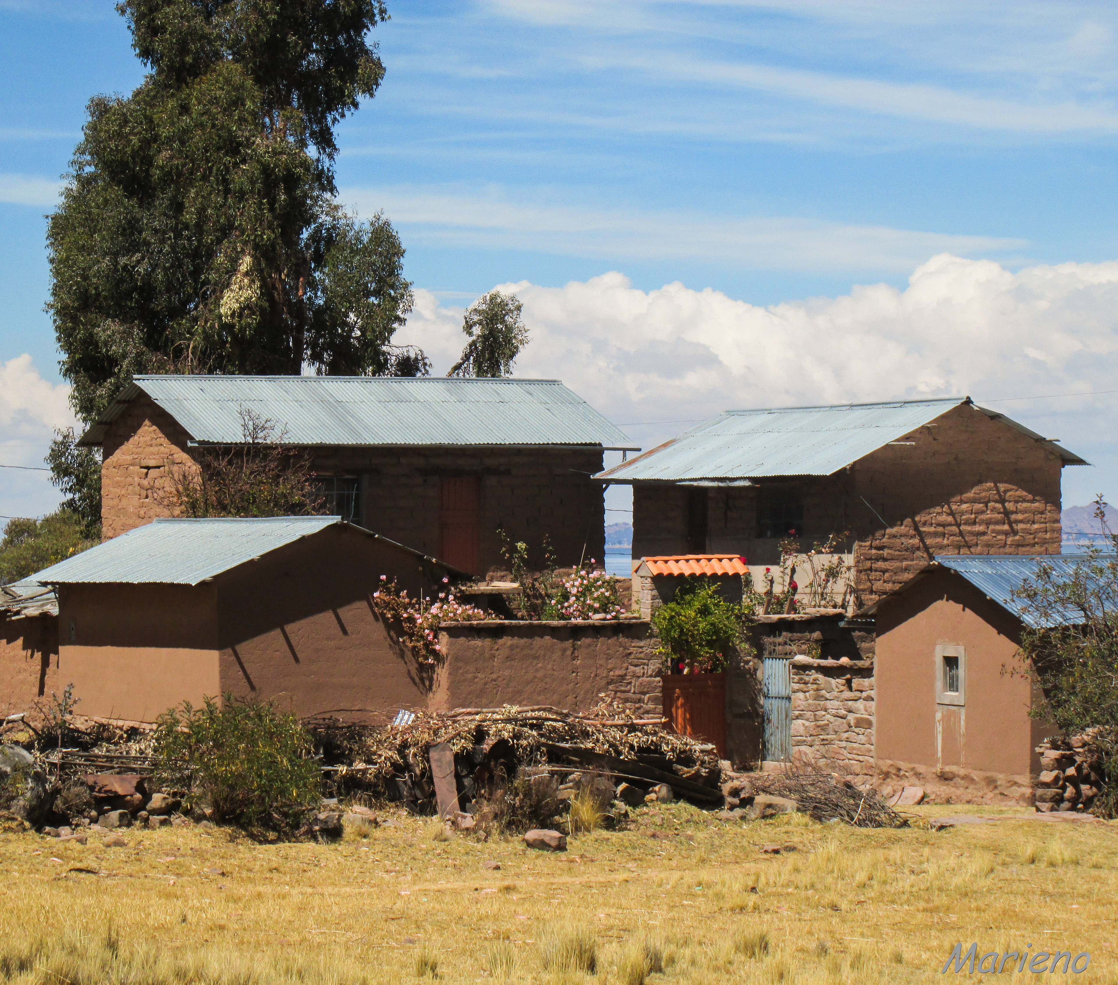 LLachon - Lac Titicaca - Pérou
