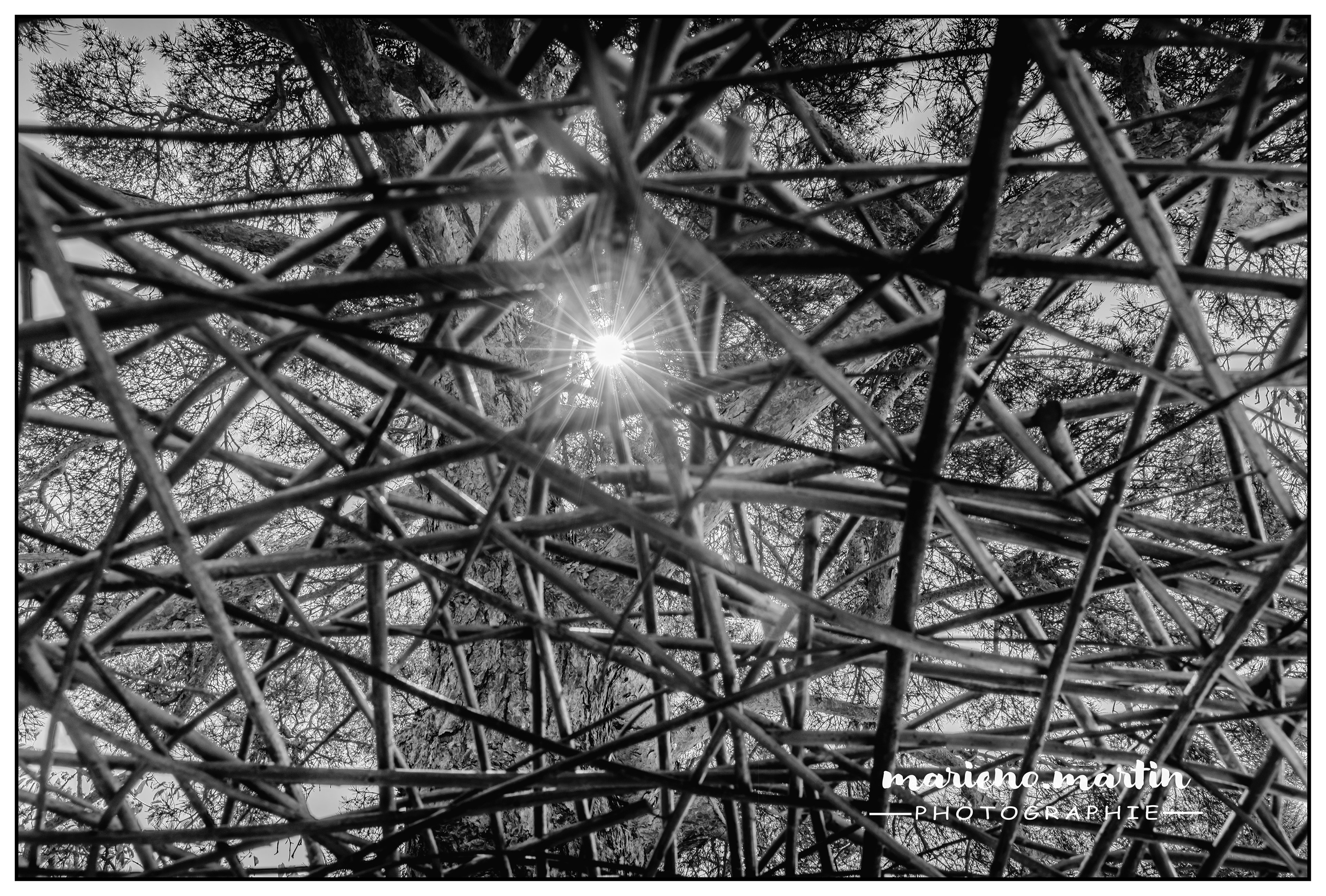 Horizons sancy 2024 - Puy de bessoles