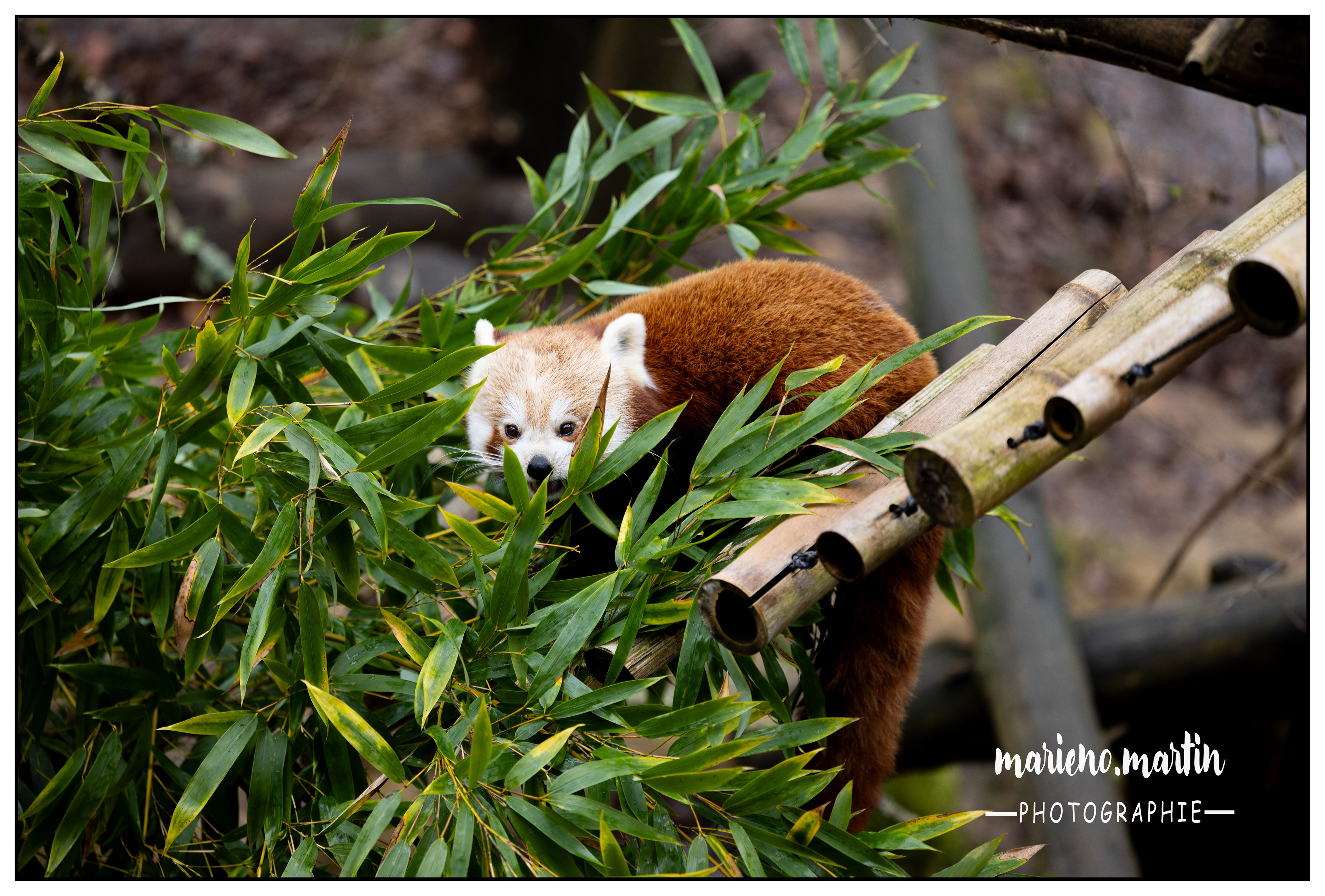 A table ! Réserve Calviac