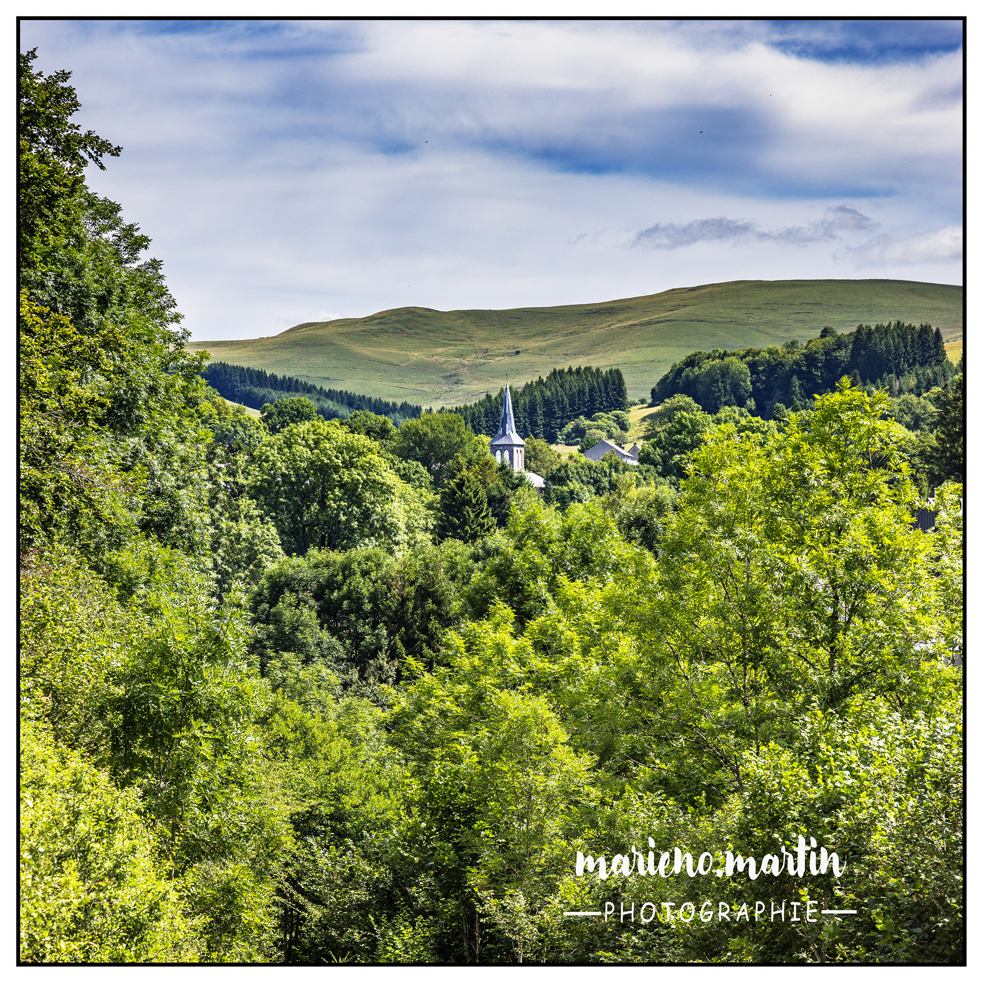 Ilot de verdure - Espinchal