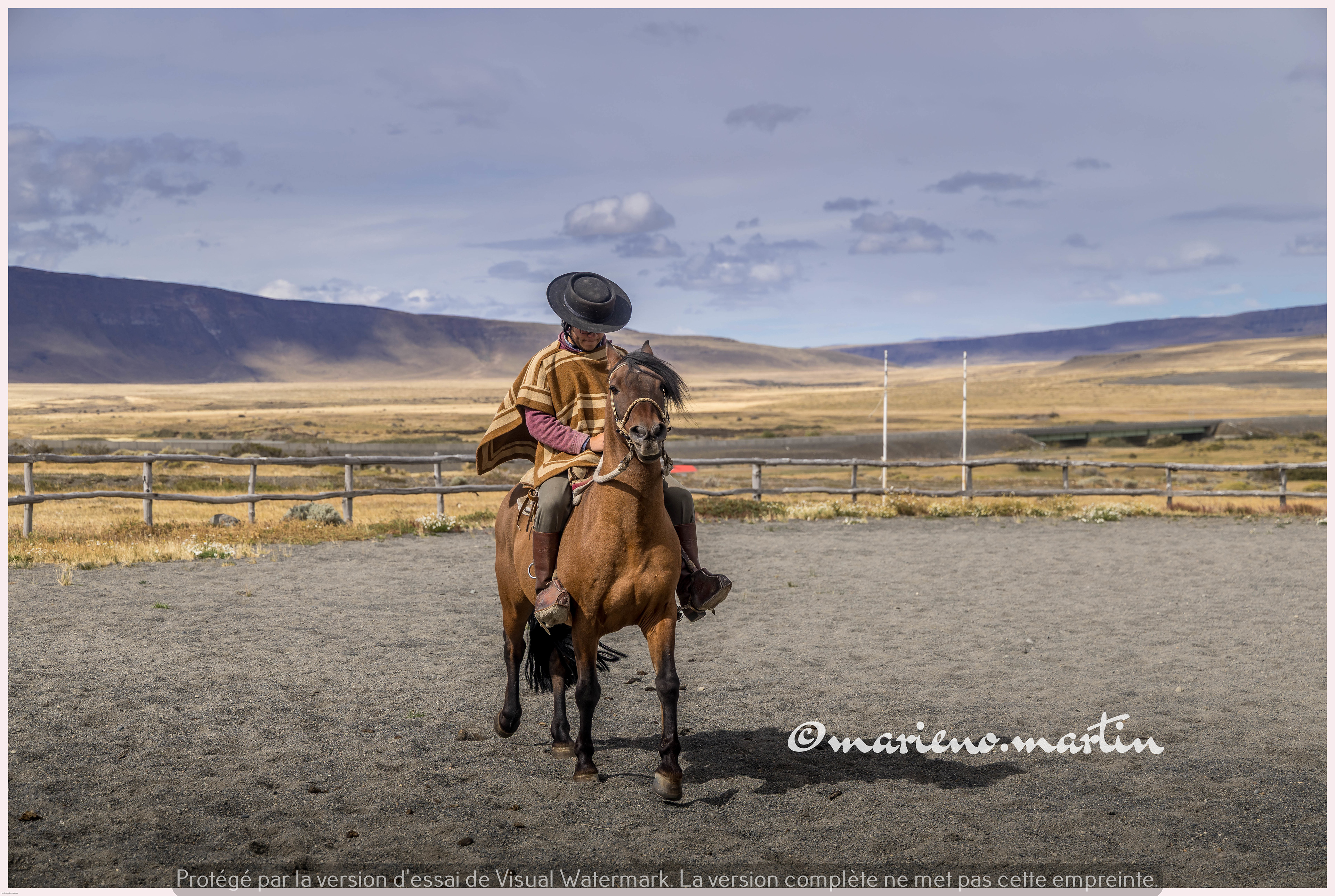 Gaucho et son cheval