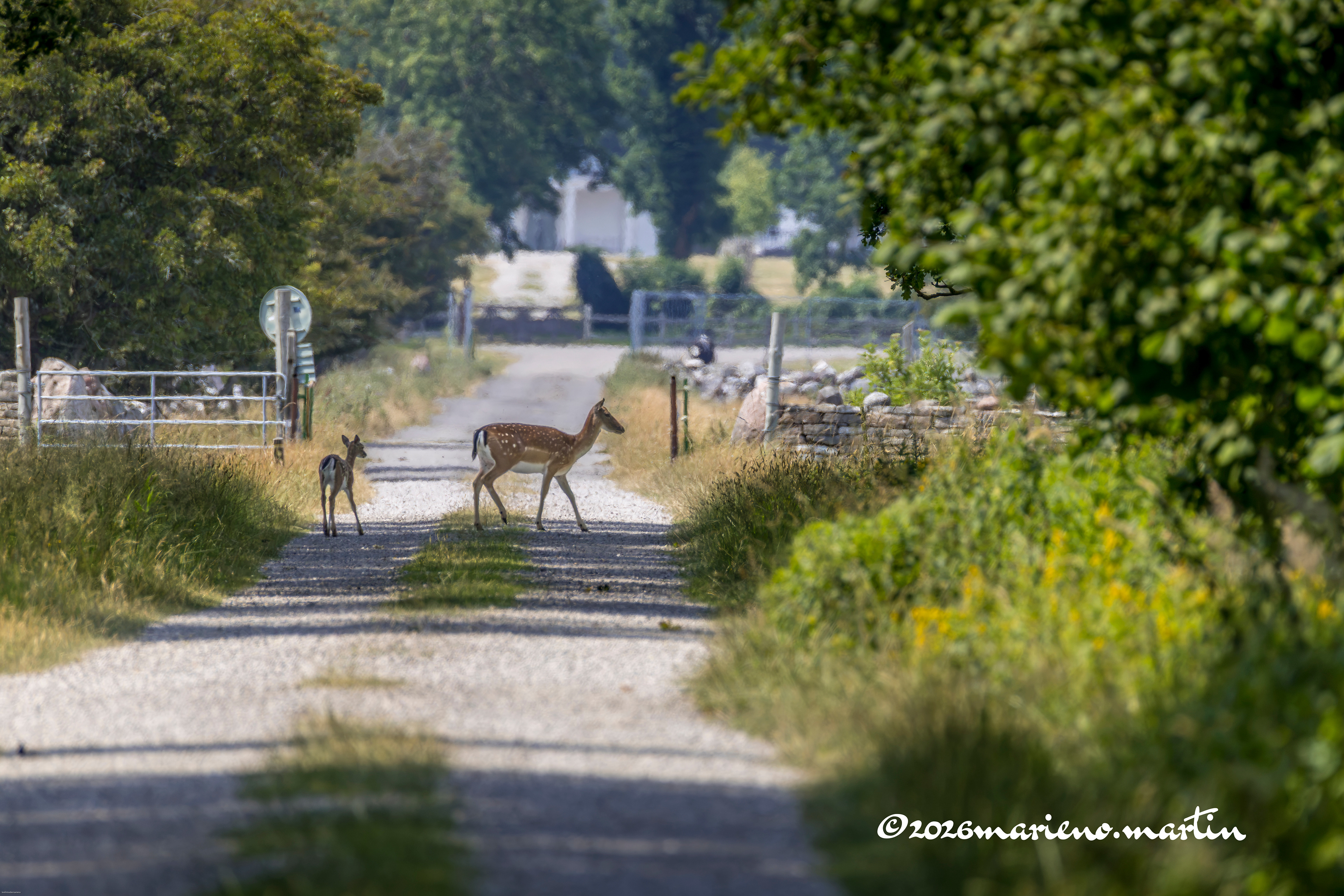 Au hasard du chemin