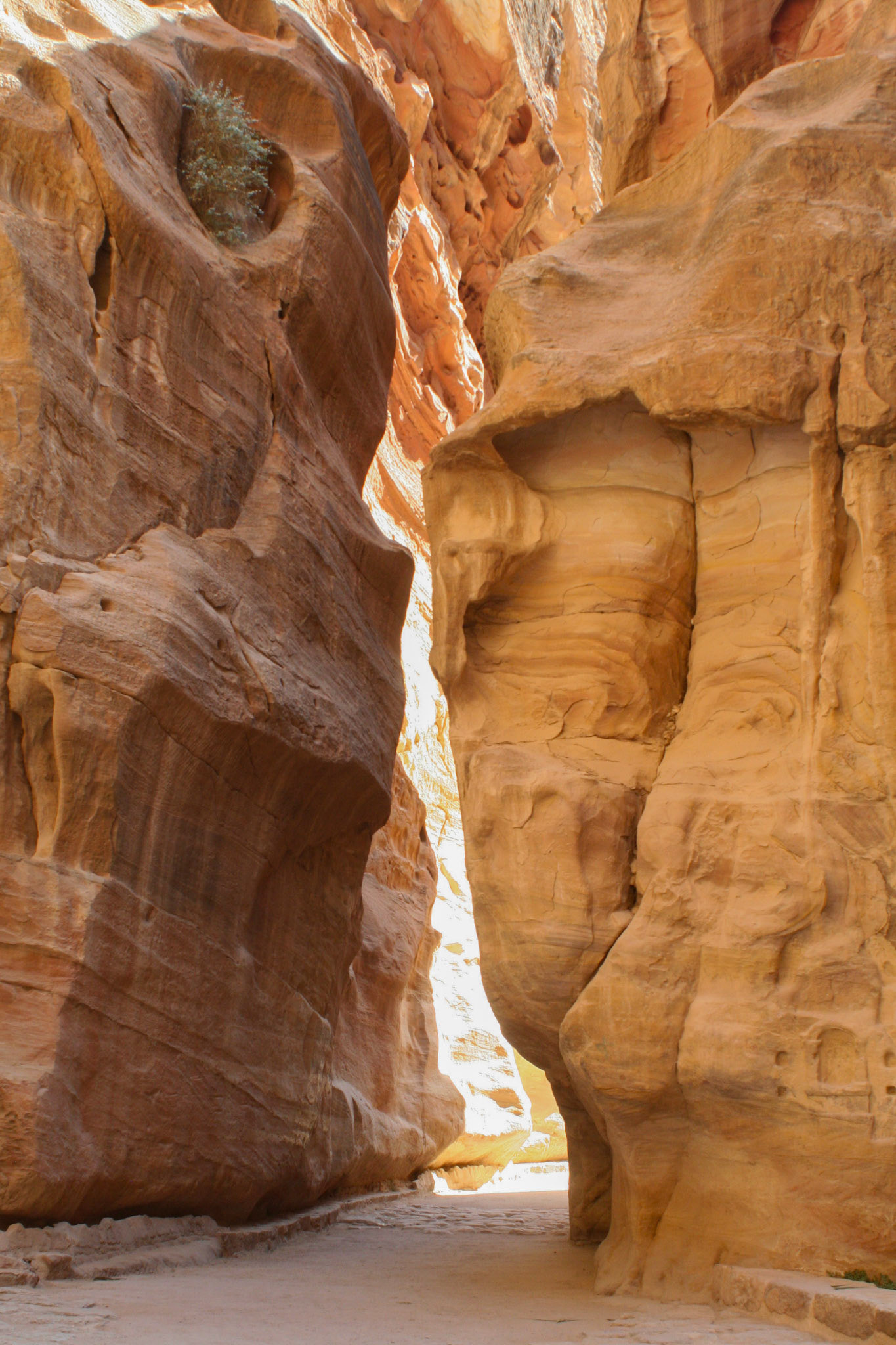 Déambulations dans Pétra - Jordanie 2009