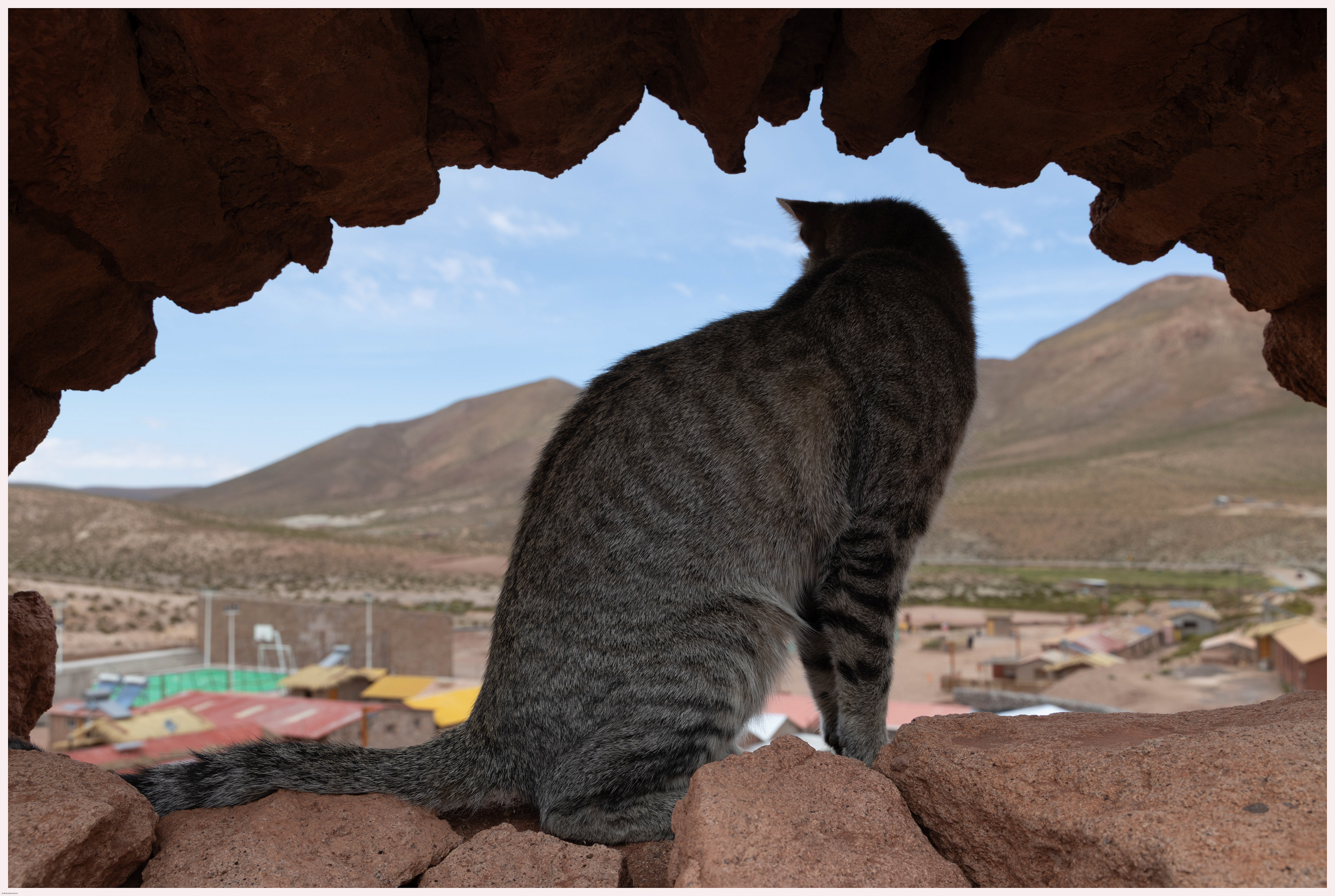 Le gardien de Machuca