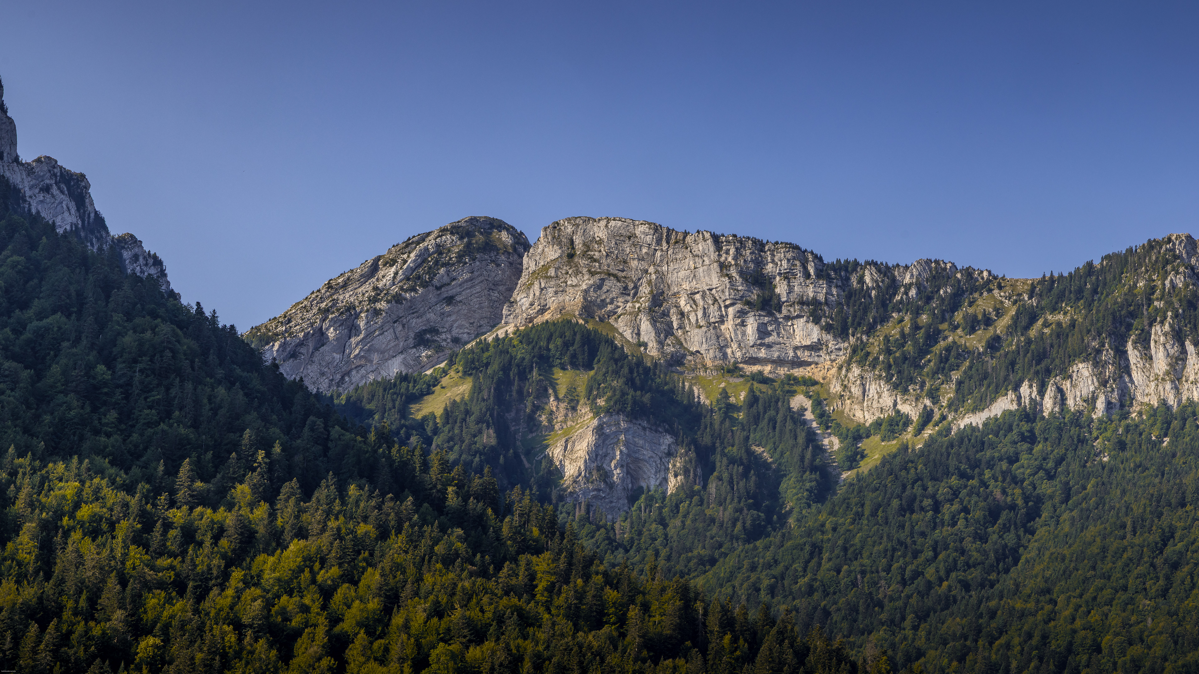 La grande Chartreuse