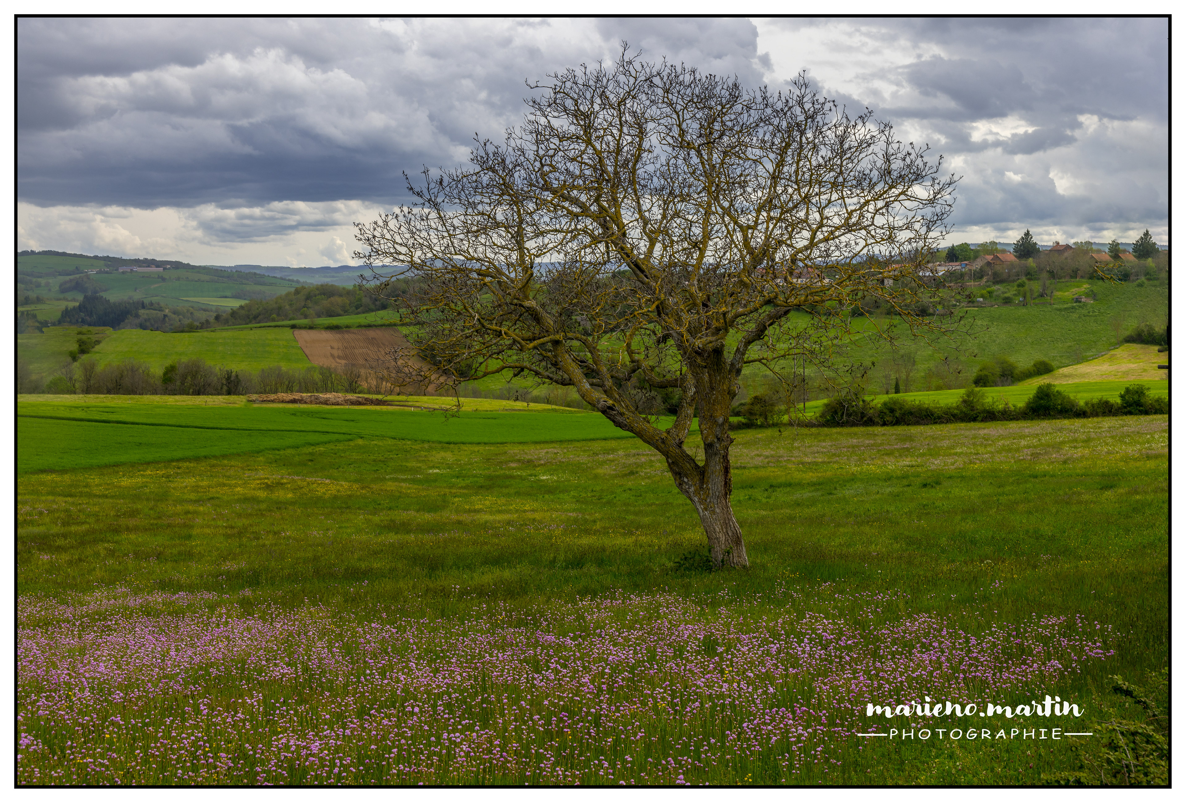 Avant l'orage