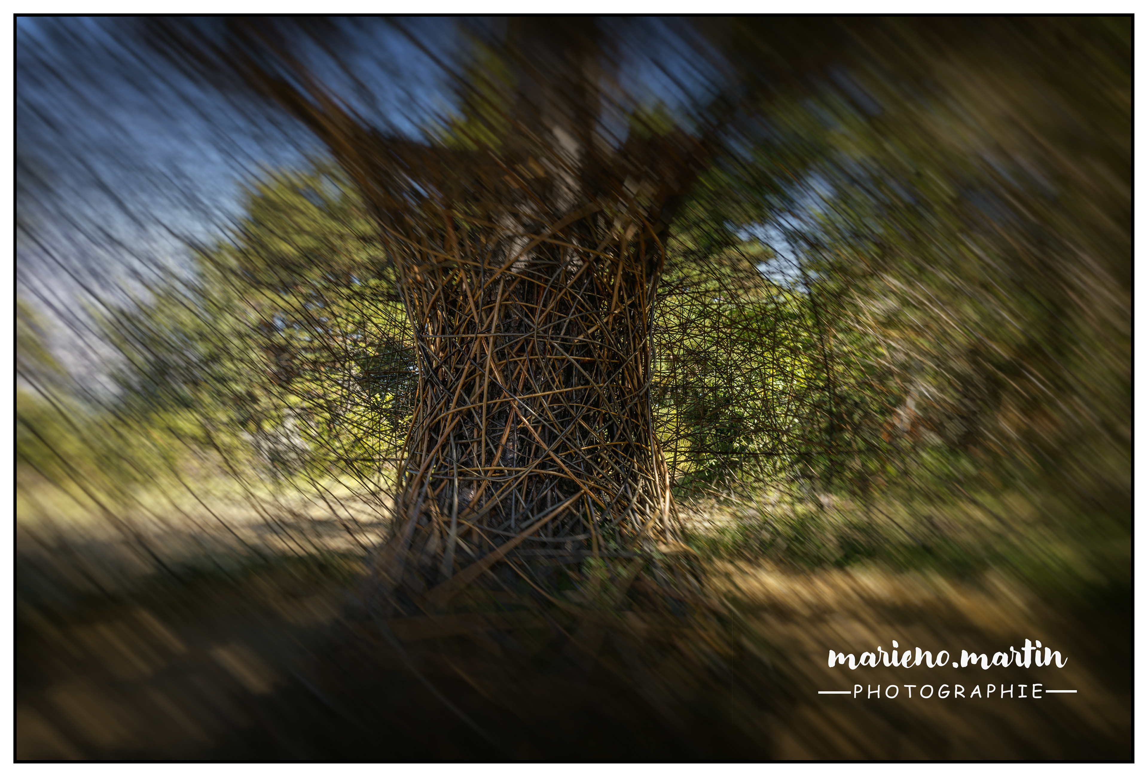 Horizons sancy 2024 - Flou directionnel