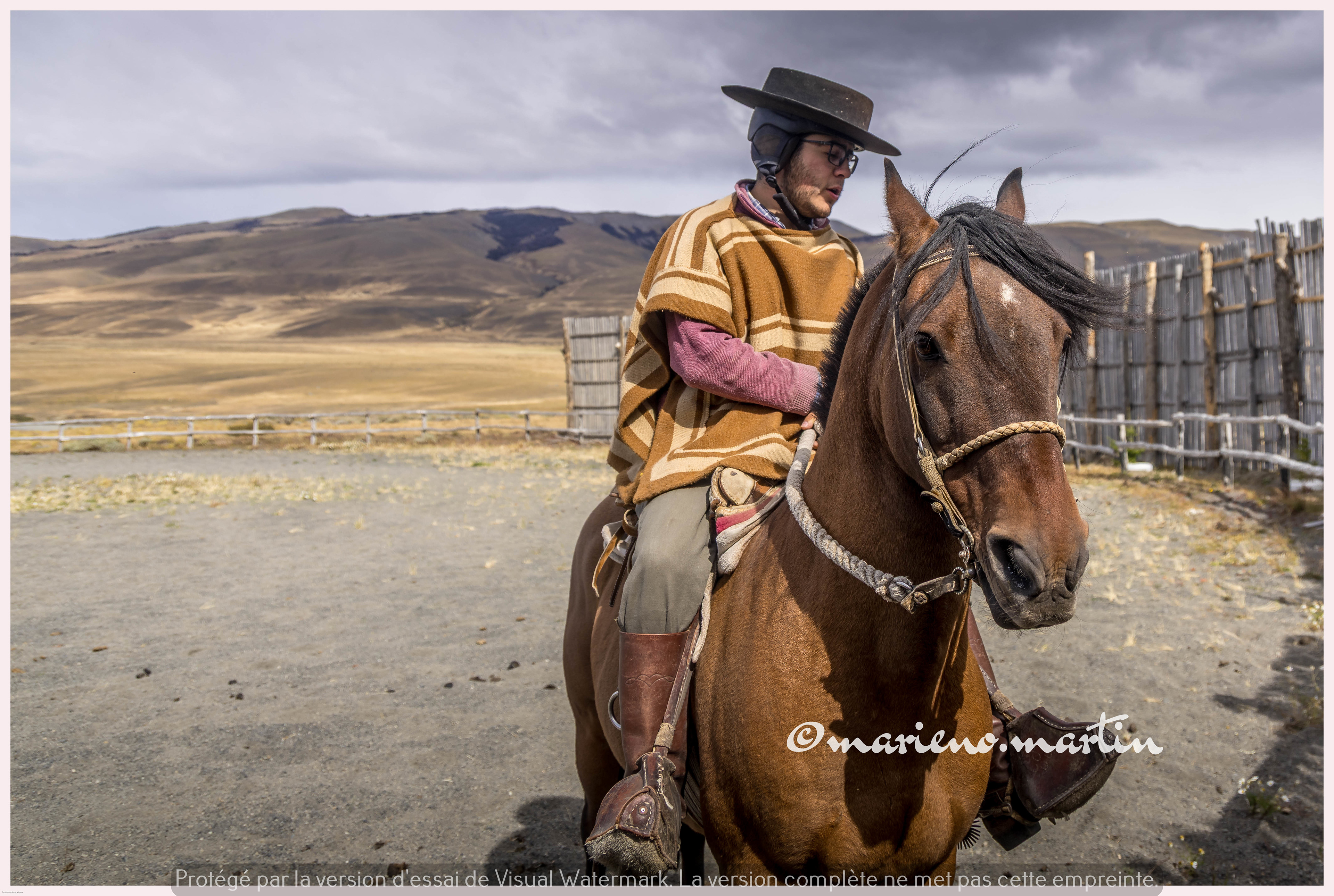 Gaucho