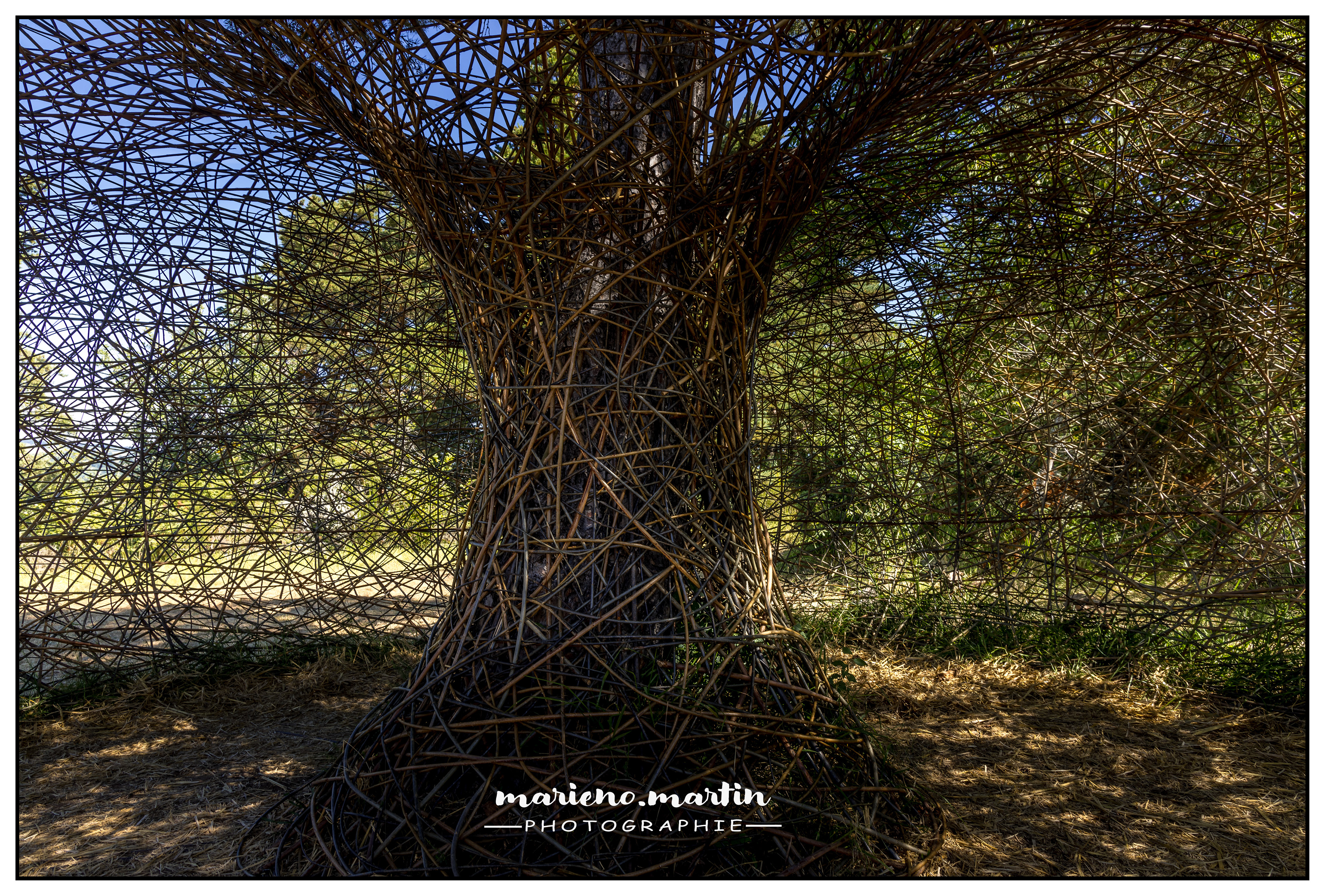 Horizons sancy 2024 - Puy de bessole