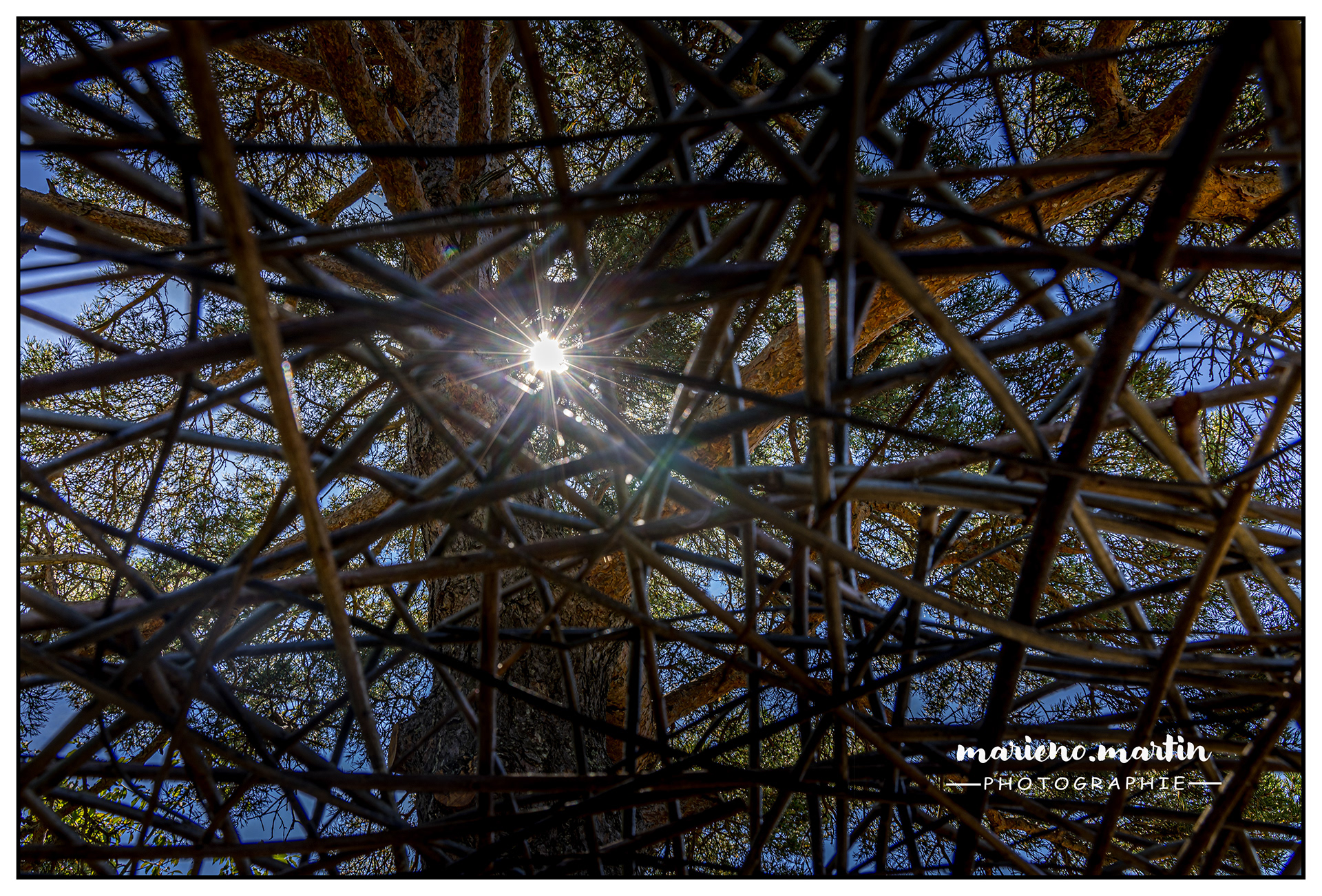 Horizons sancy 2024 - Puy de bessole