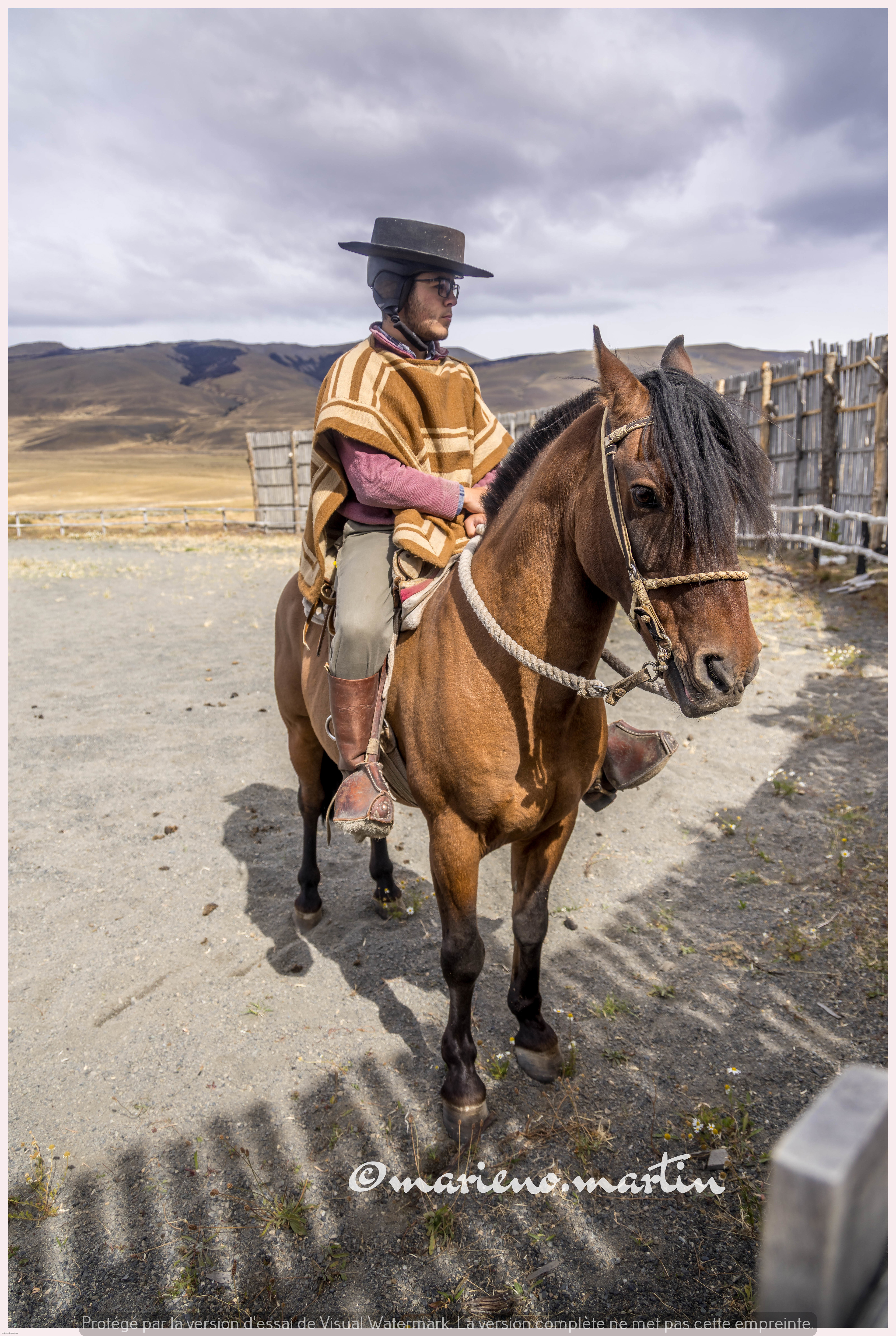 Gaucho et cheval