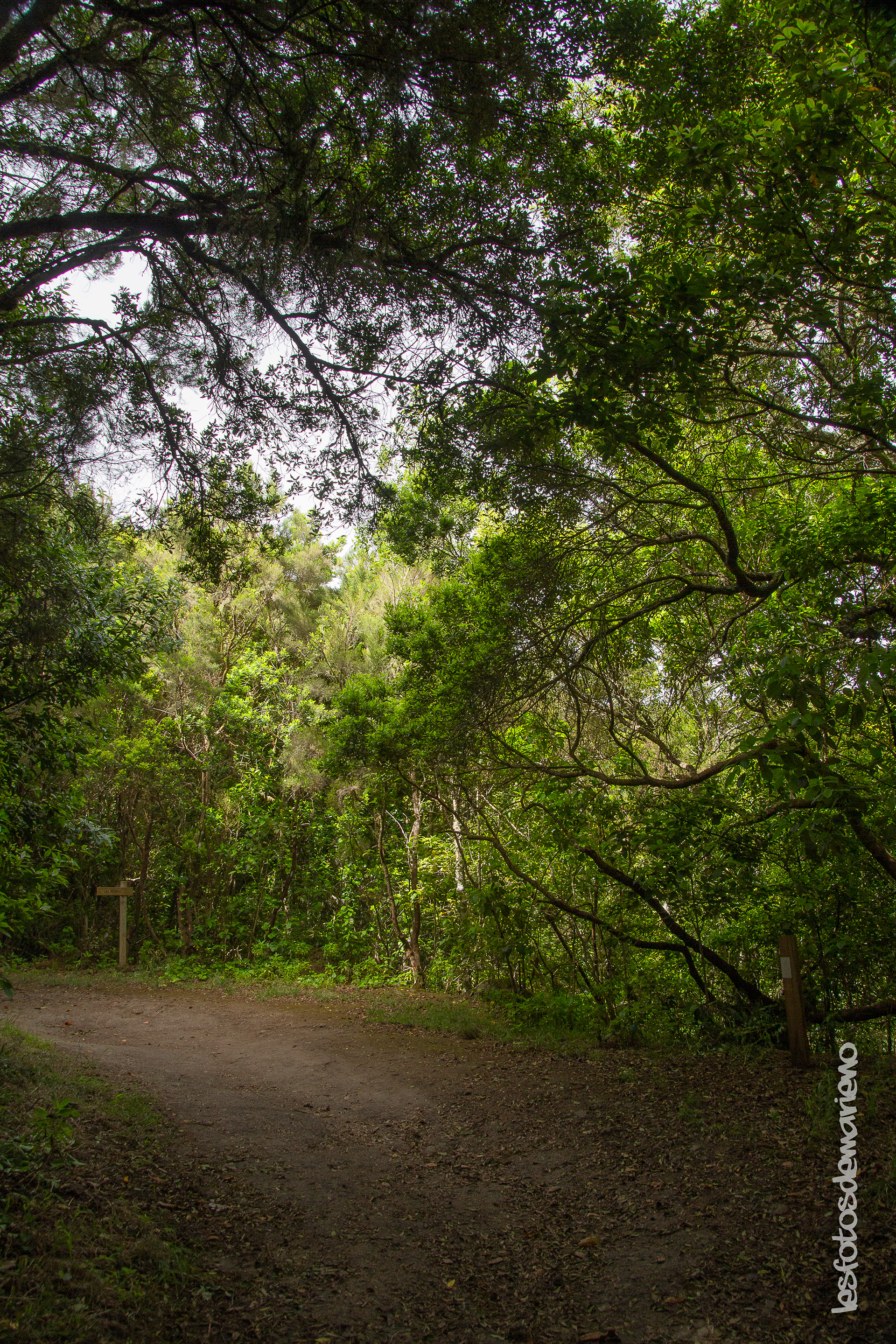 Parc anagua