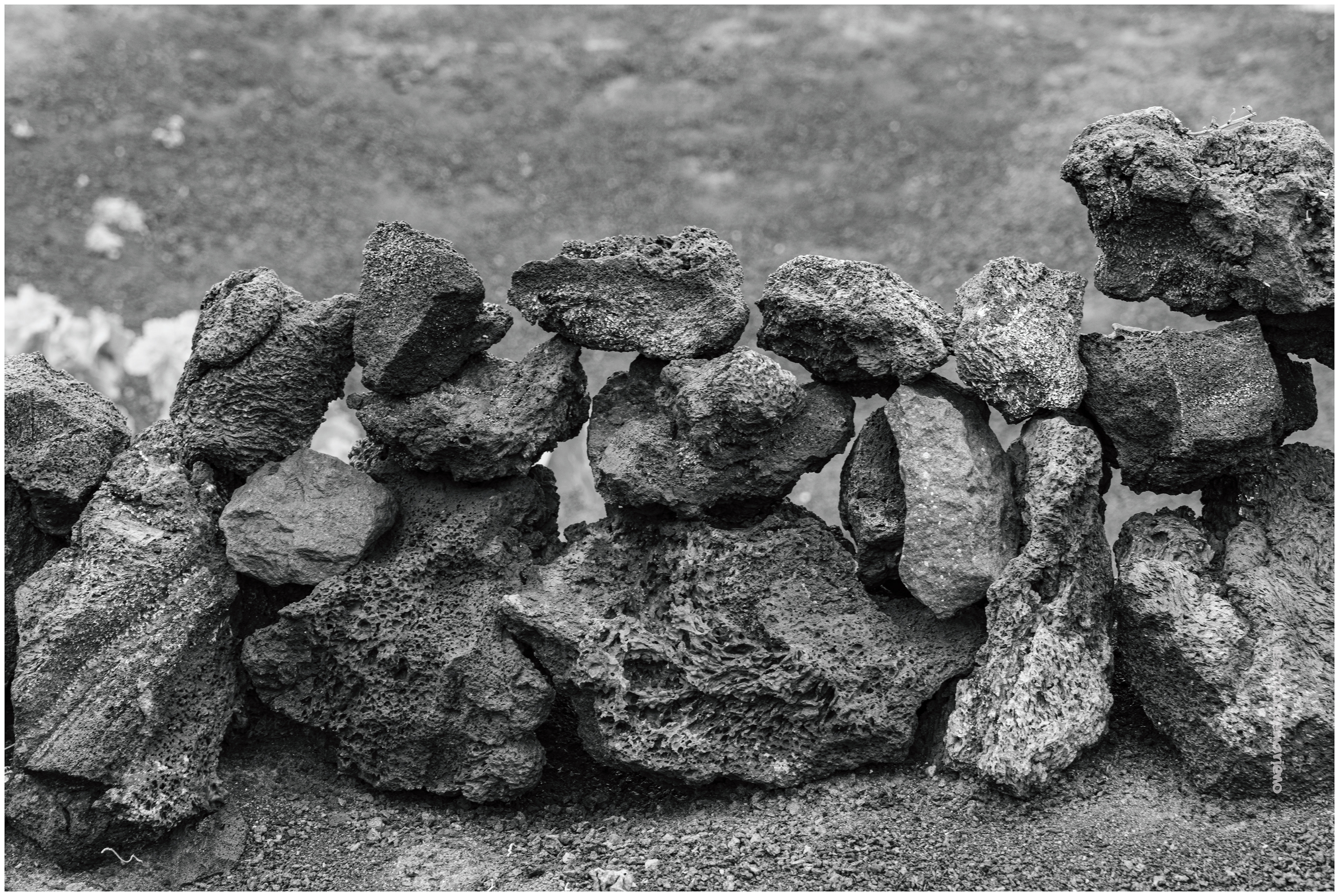 Détail du muret - Culture du malvoisi Volcaniq