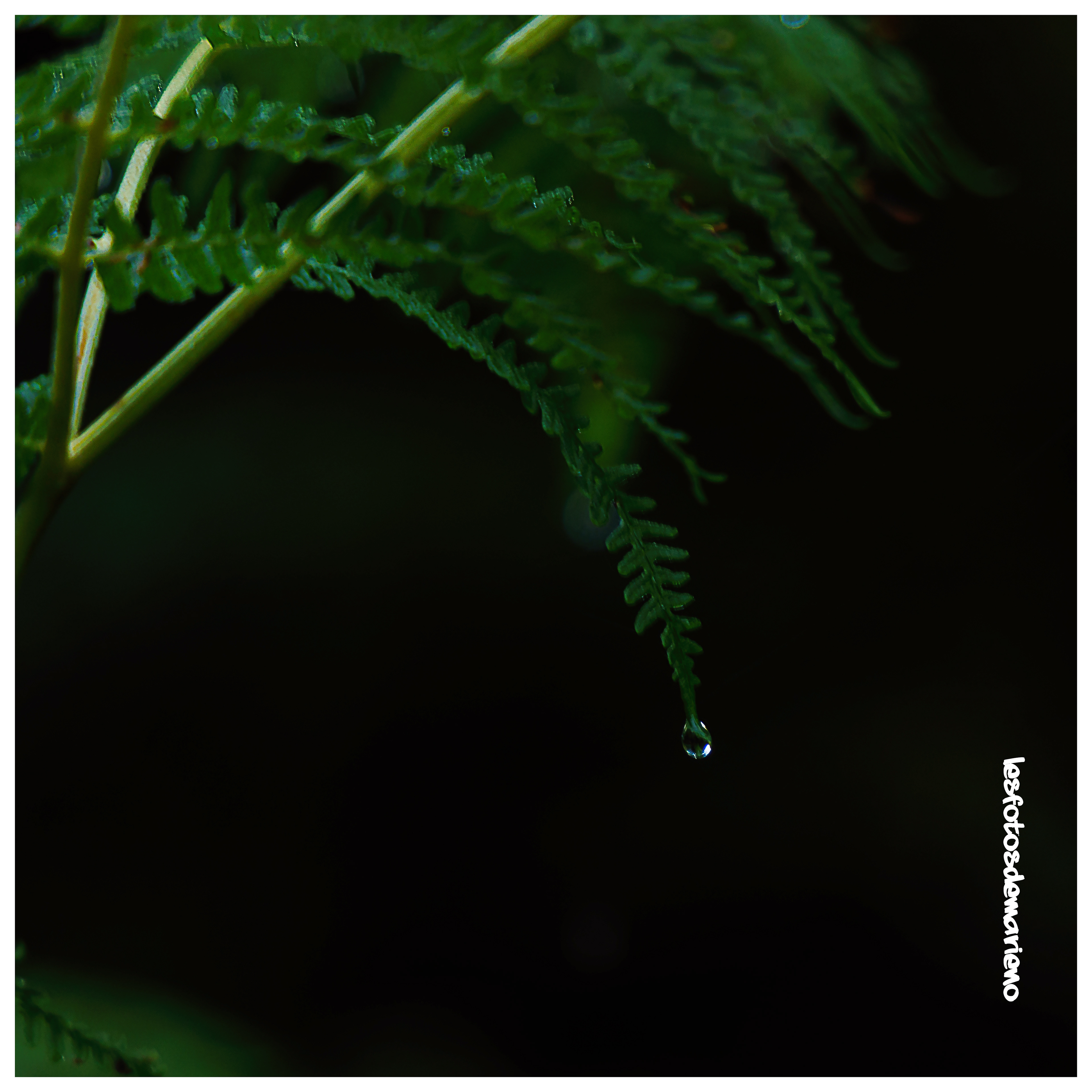 Premier jour d'automne