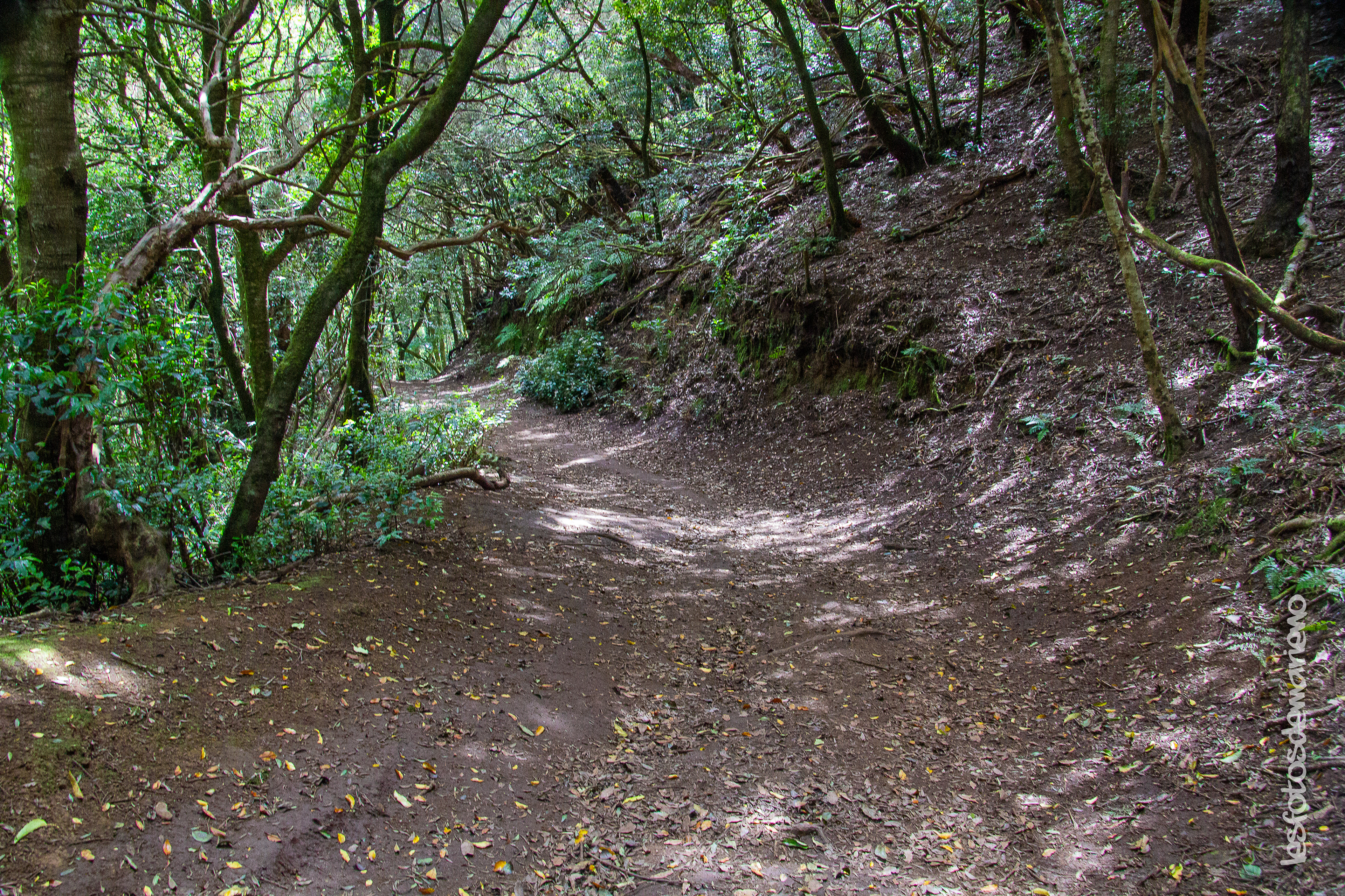Dans le parc d'Anagua