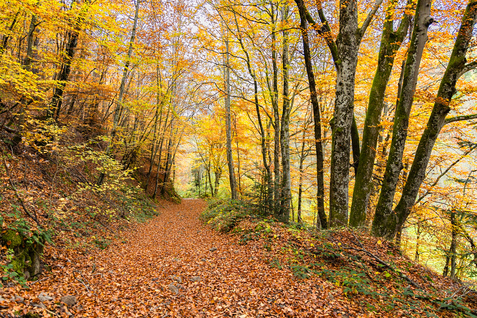 Vers le saut du Bezan