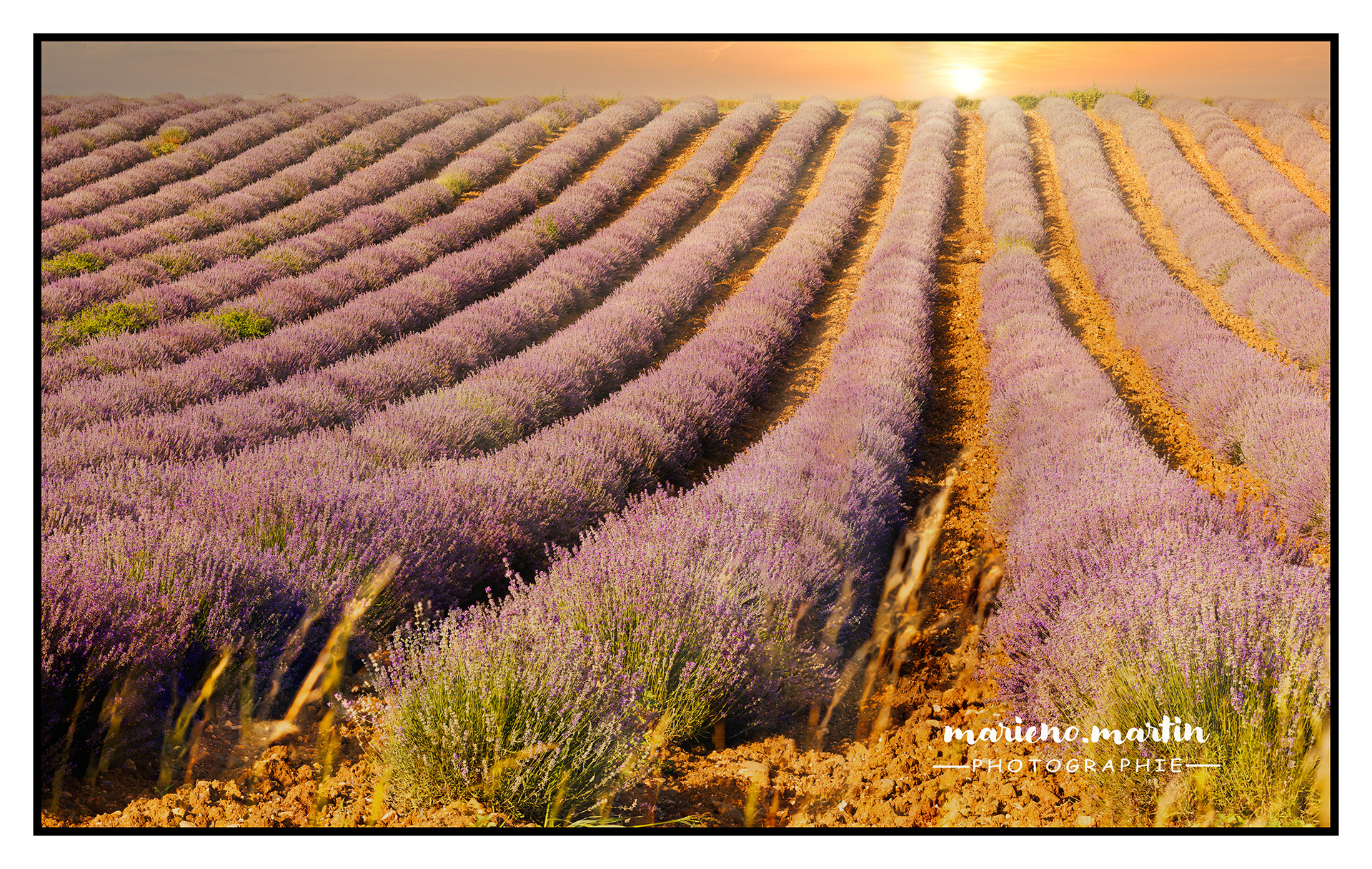 Perspective ensoleillée