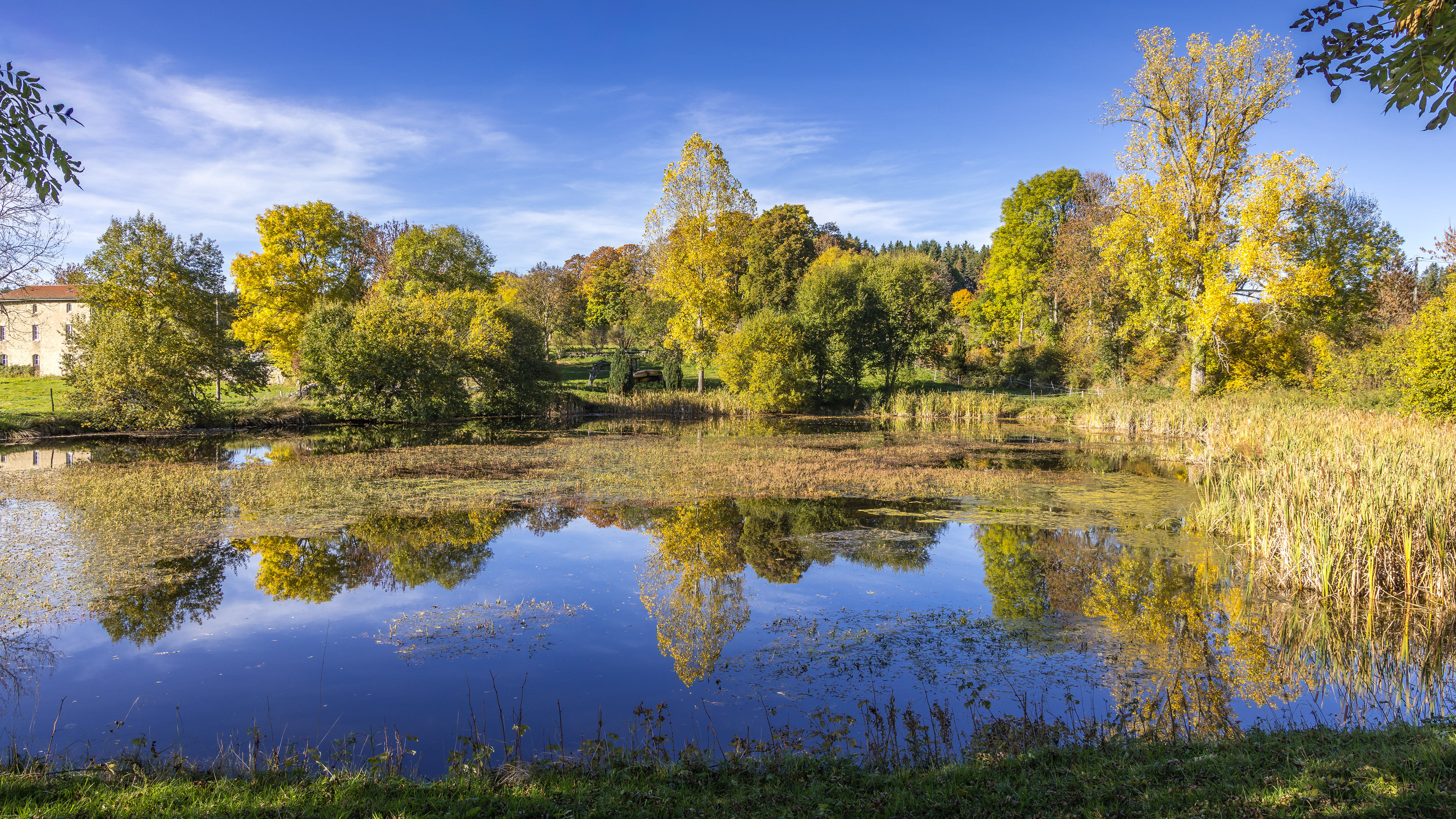 Reflets d'automne 2025