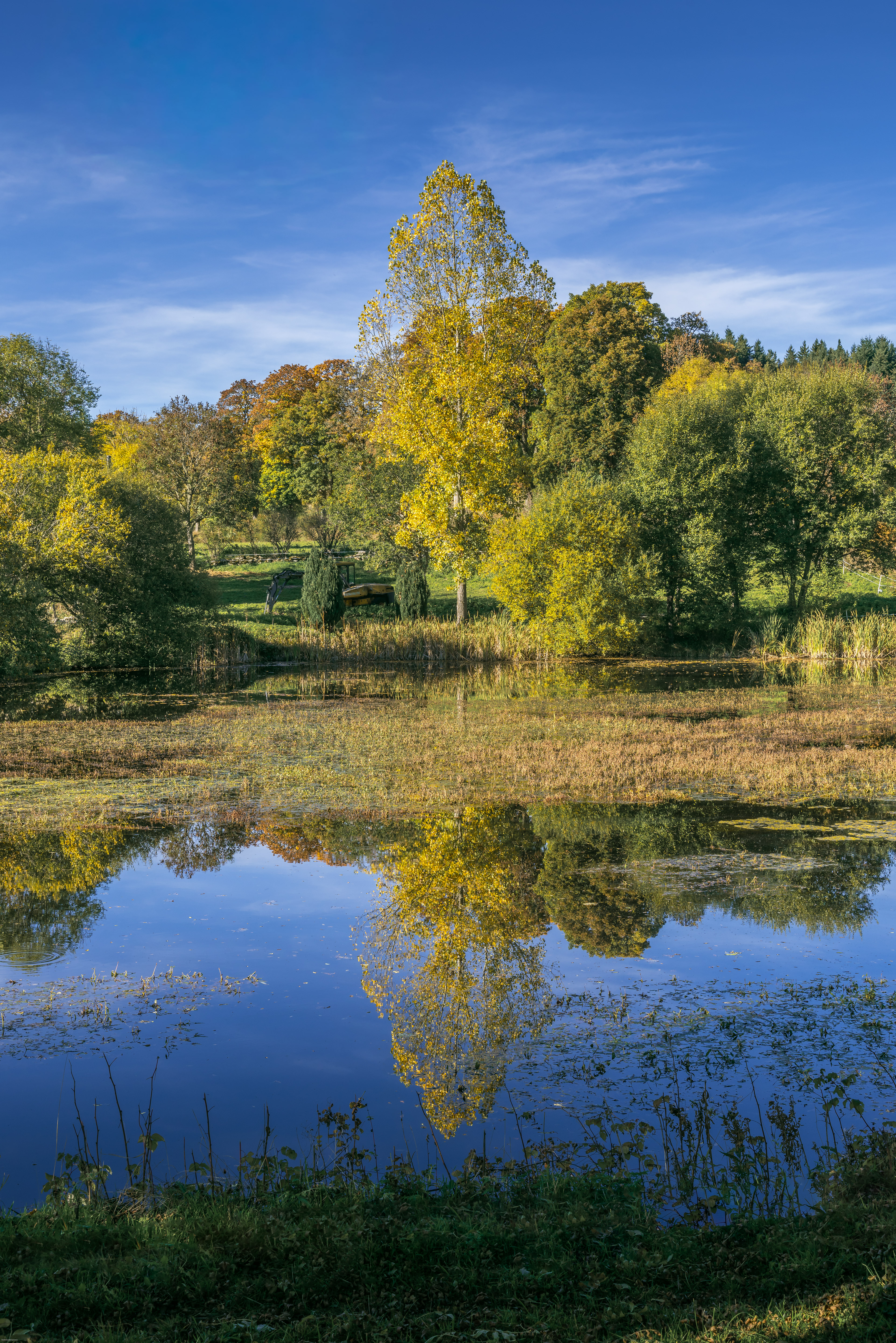Reflets d'automne 2025