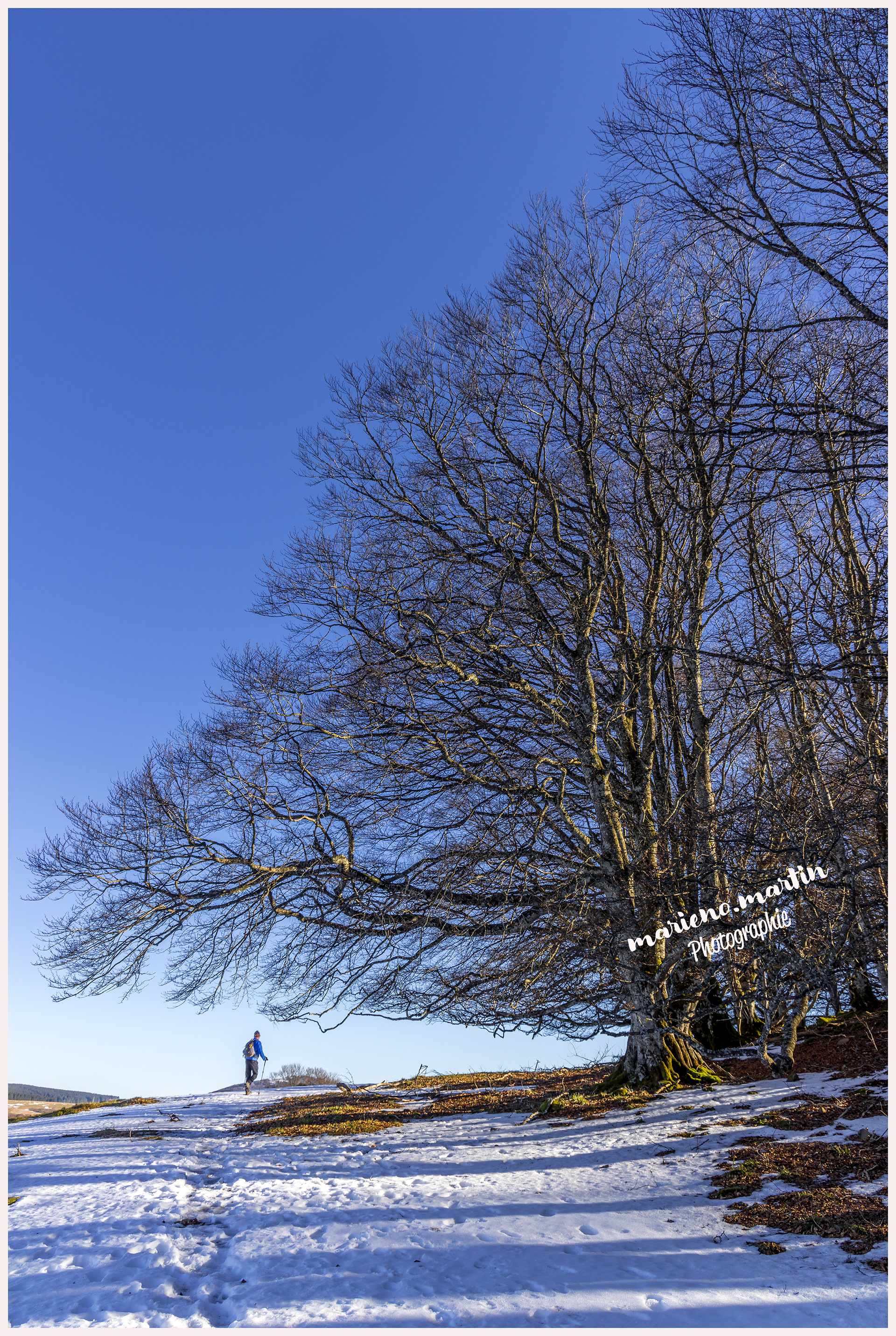 Autour du lac chauvet