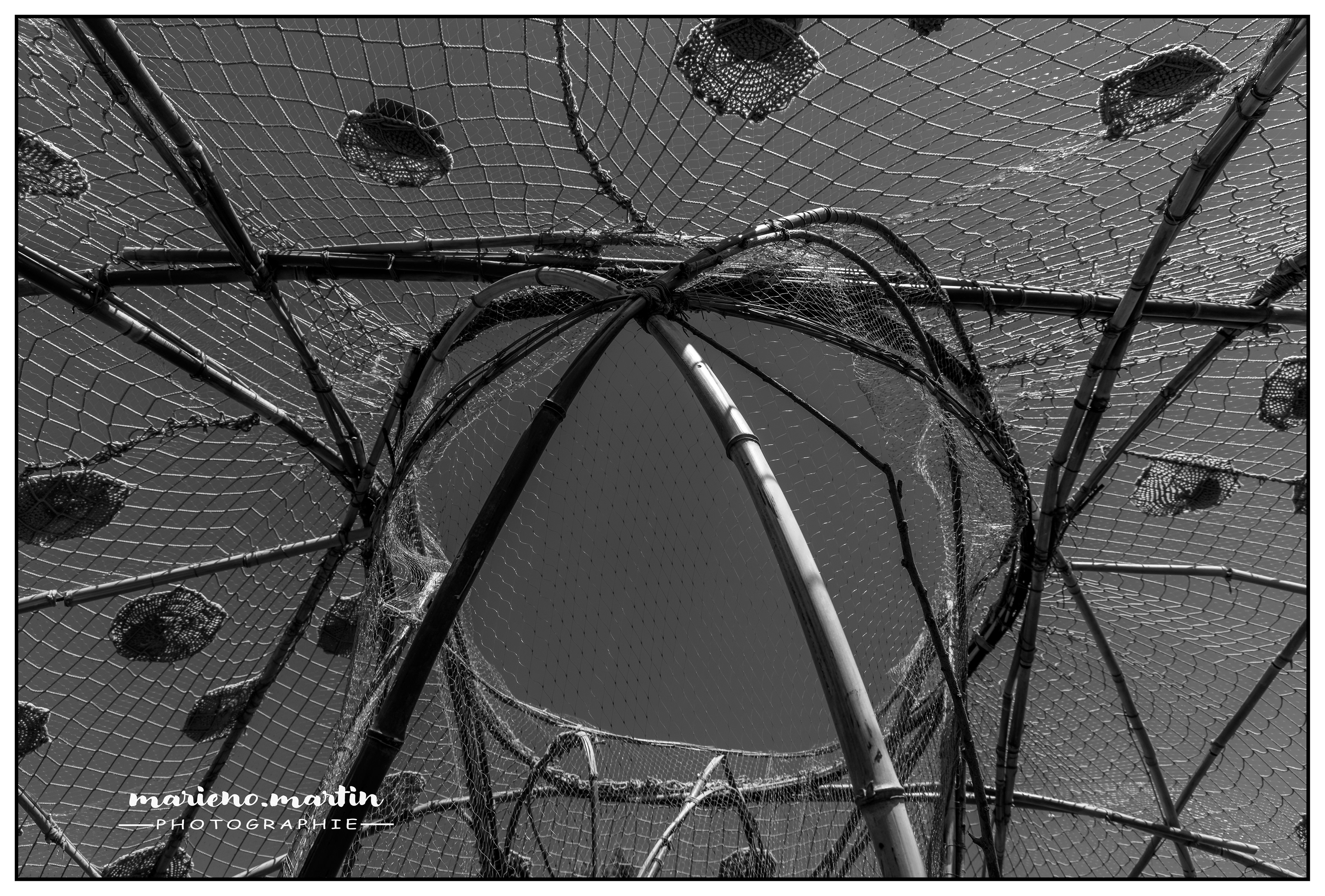 Horizons sancy 2024 - La drosera