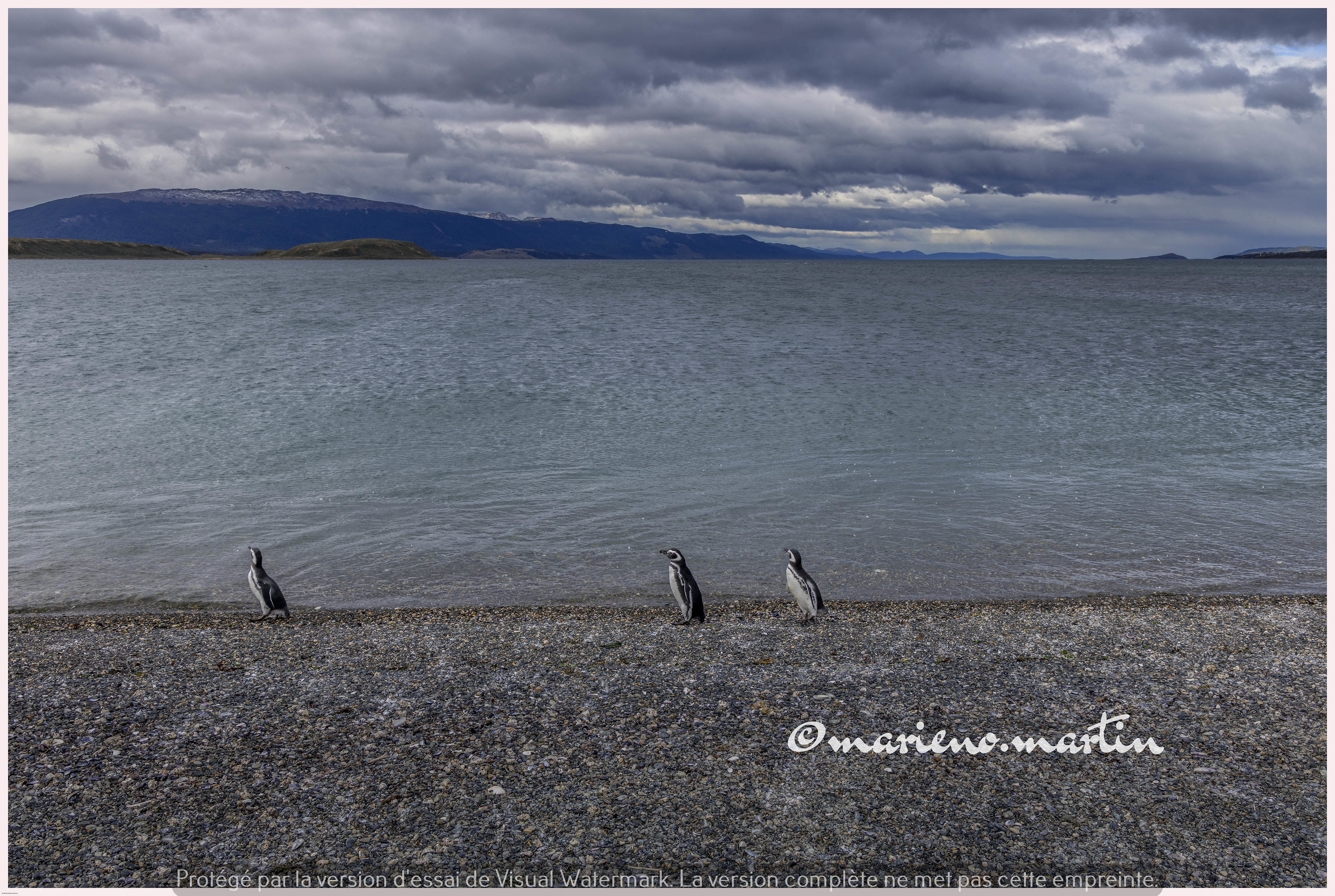 Sur les bords du canal
