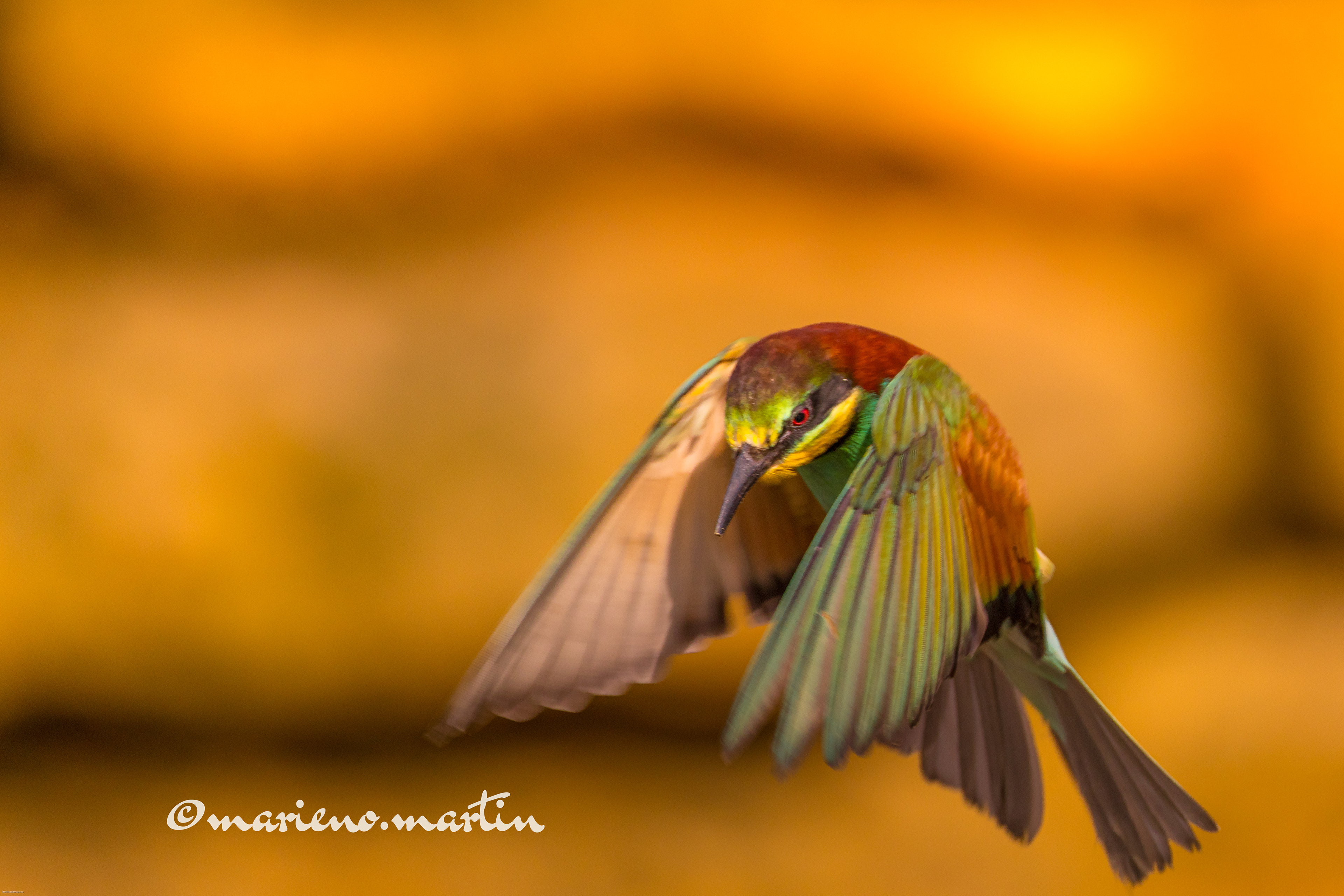 En pleine lumière matinale